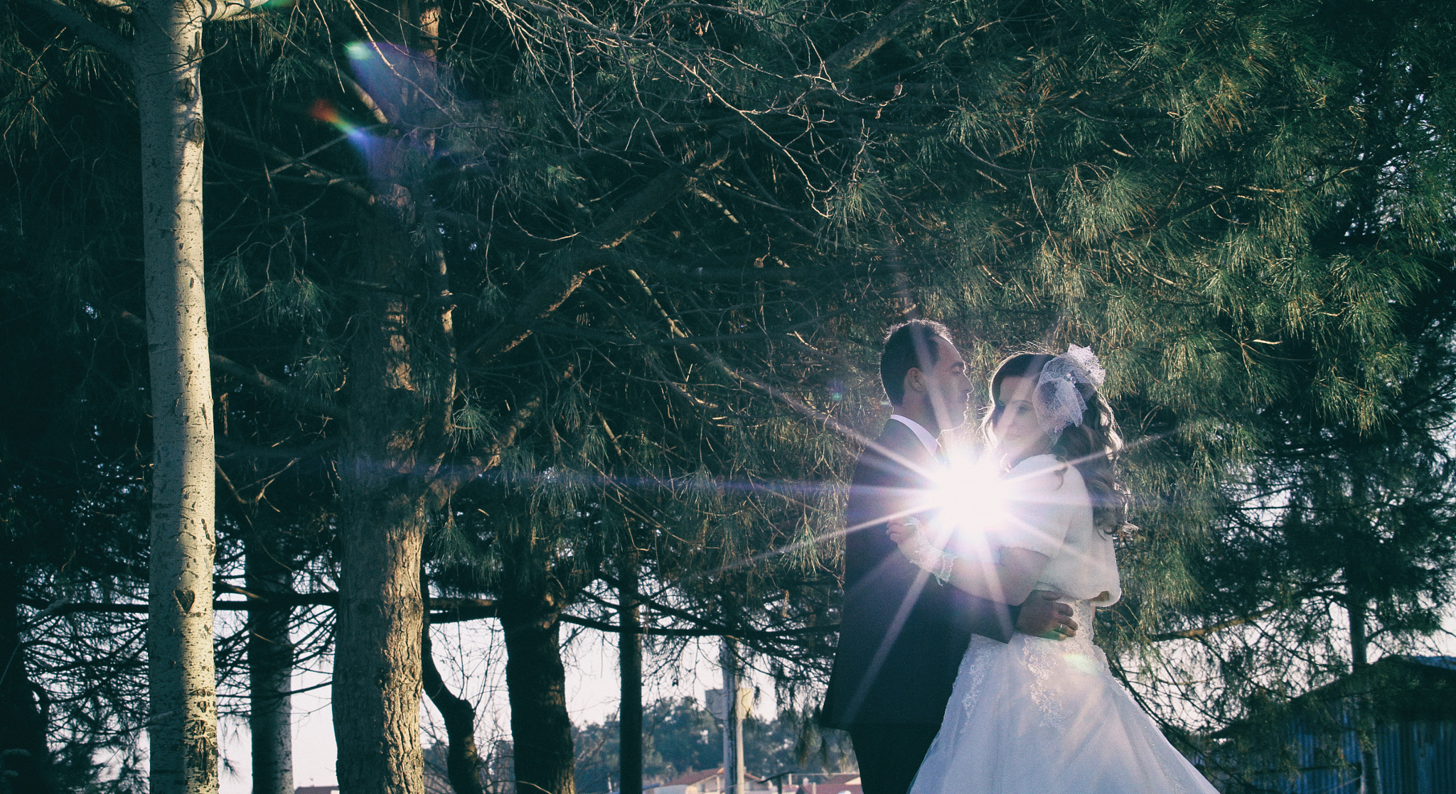 Canon EOS 7D + Canon EF 70-200mm F4L IS USM sample photo. Ror photography photography