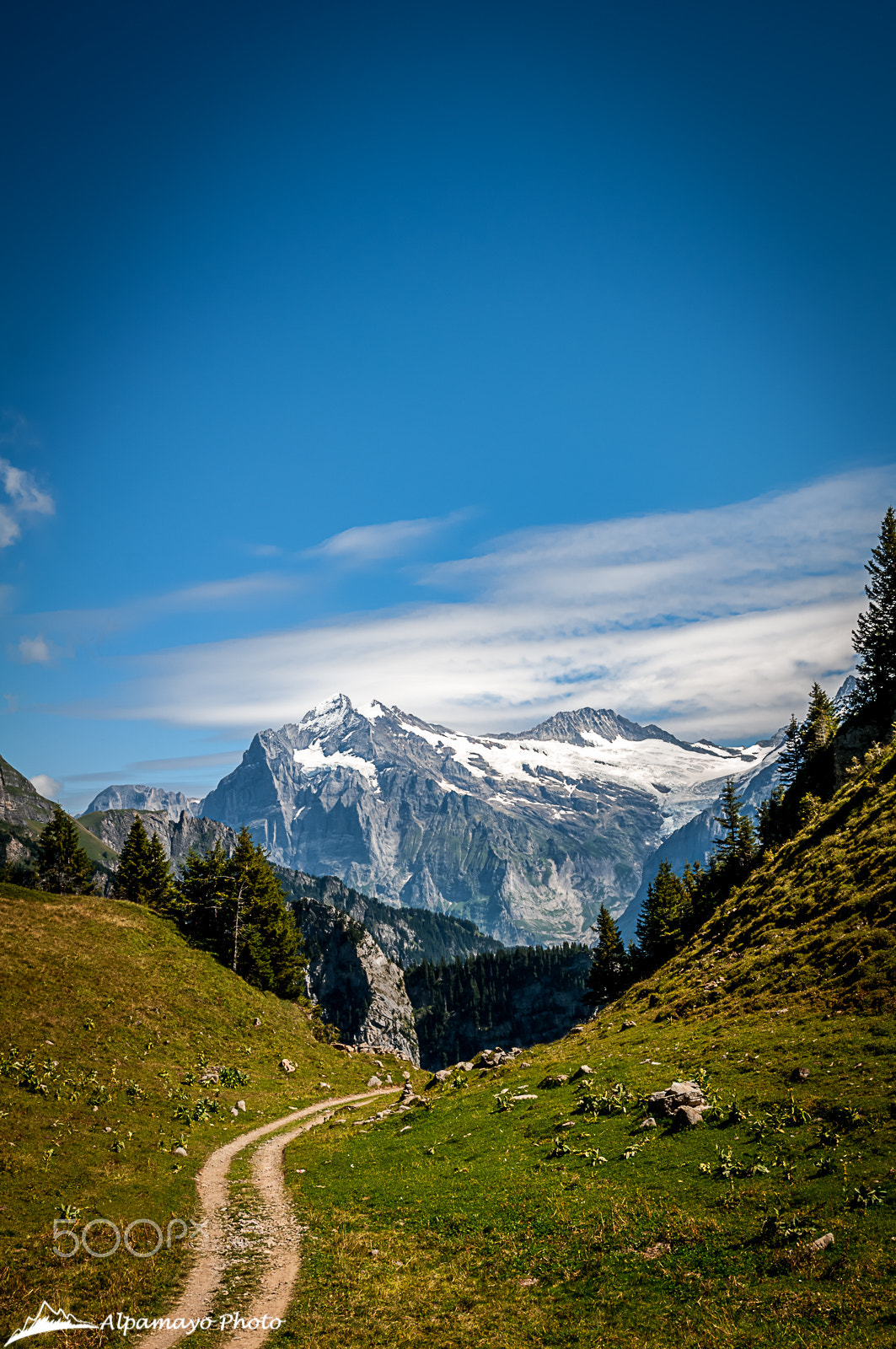 Nikon AF-S Nikkor 24-70mm F2.8G ED sample photo. Bernese alps photography