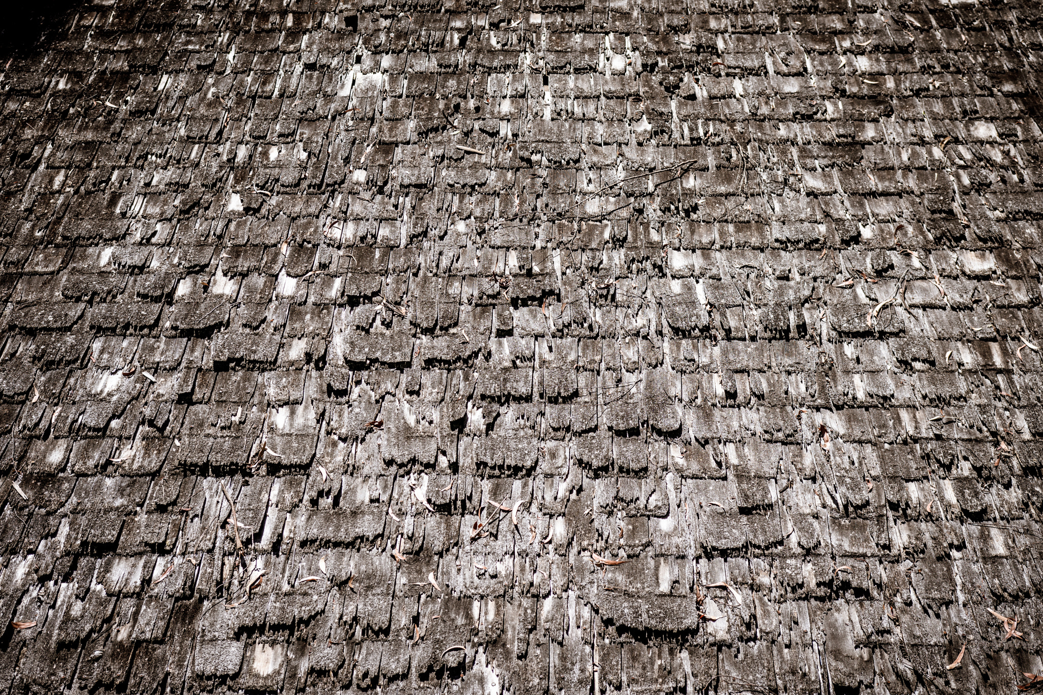 Nikon D7200 sample photo. Old roof! photography