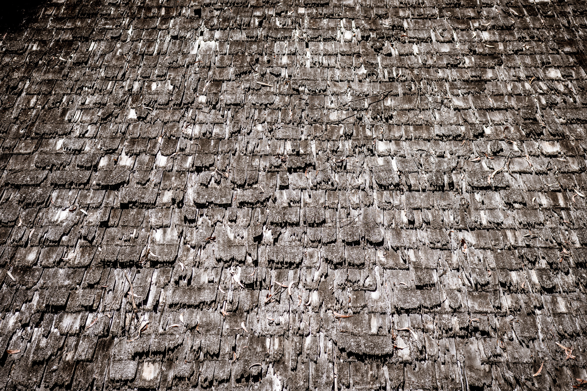 Sigma 18-35mm F1.8 DC HSM Art sample photo. Old roof! photography