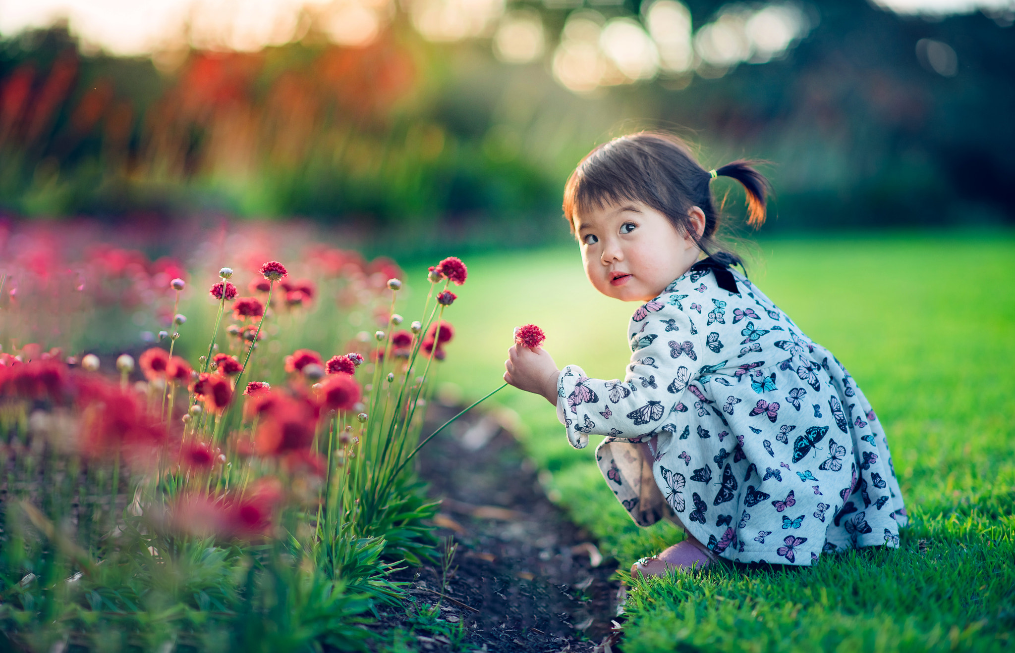 Nikon D800E + Nikon AF-S Nikkor 85mm F1.4G sample photo. Spring is coming soon~ photography