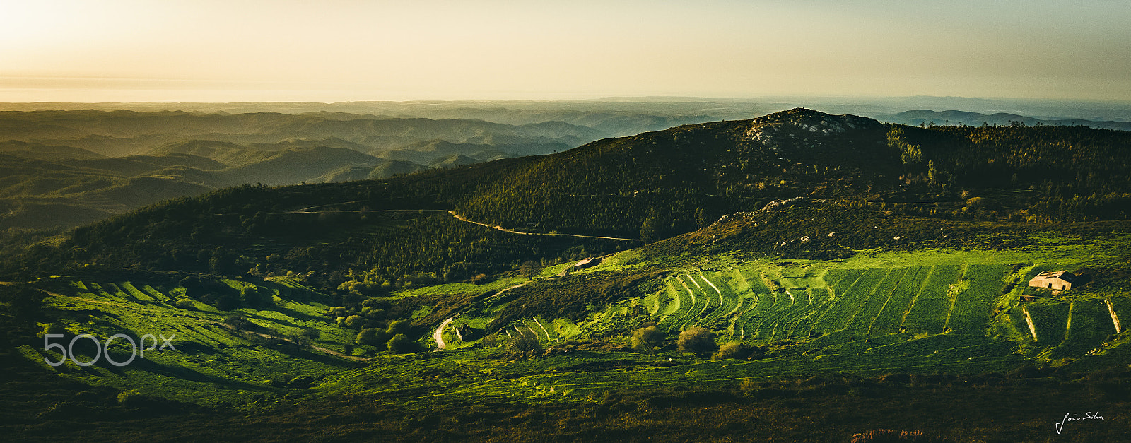 Nikon D5500 sample photo. Valley photography