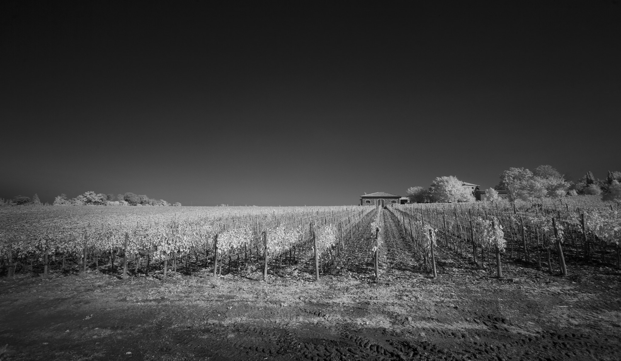 Canon EOS 5D + Canon EF 17-40mm F4L USM sample photo. Tuscany.jpg photography