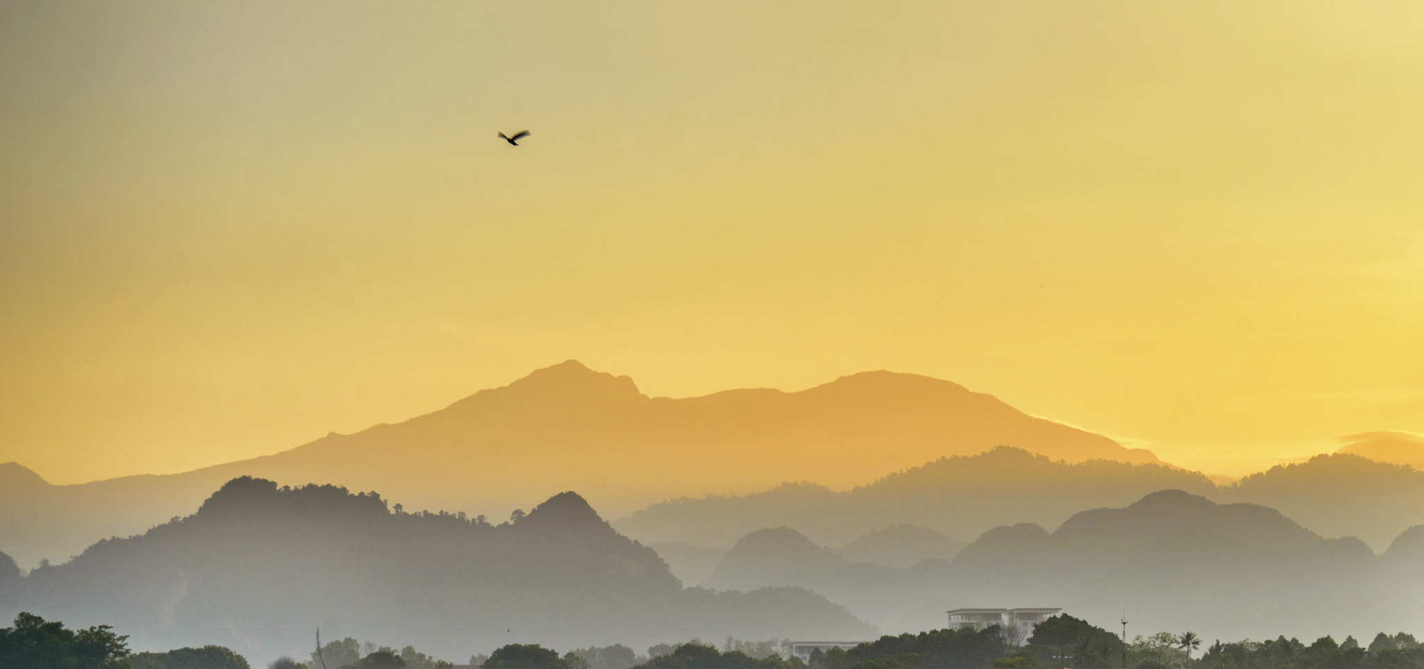 AF Zoom-Nikkor 28-80mm f/3.3-5.6G sample photo. Dawn photography