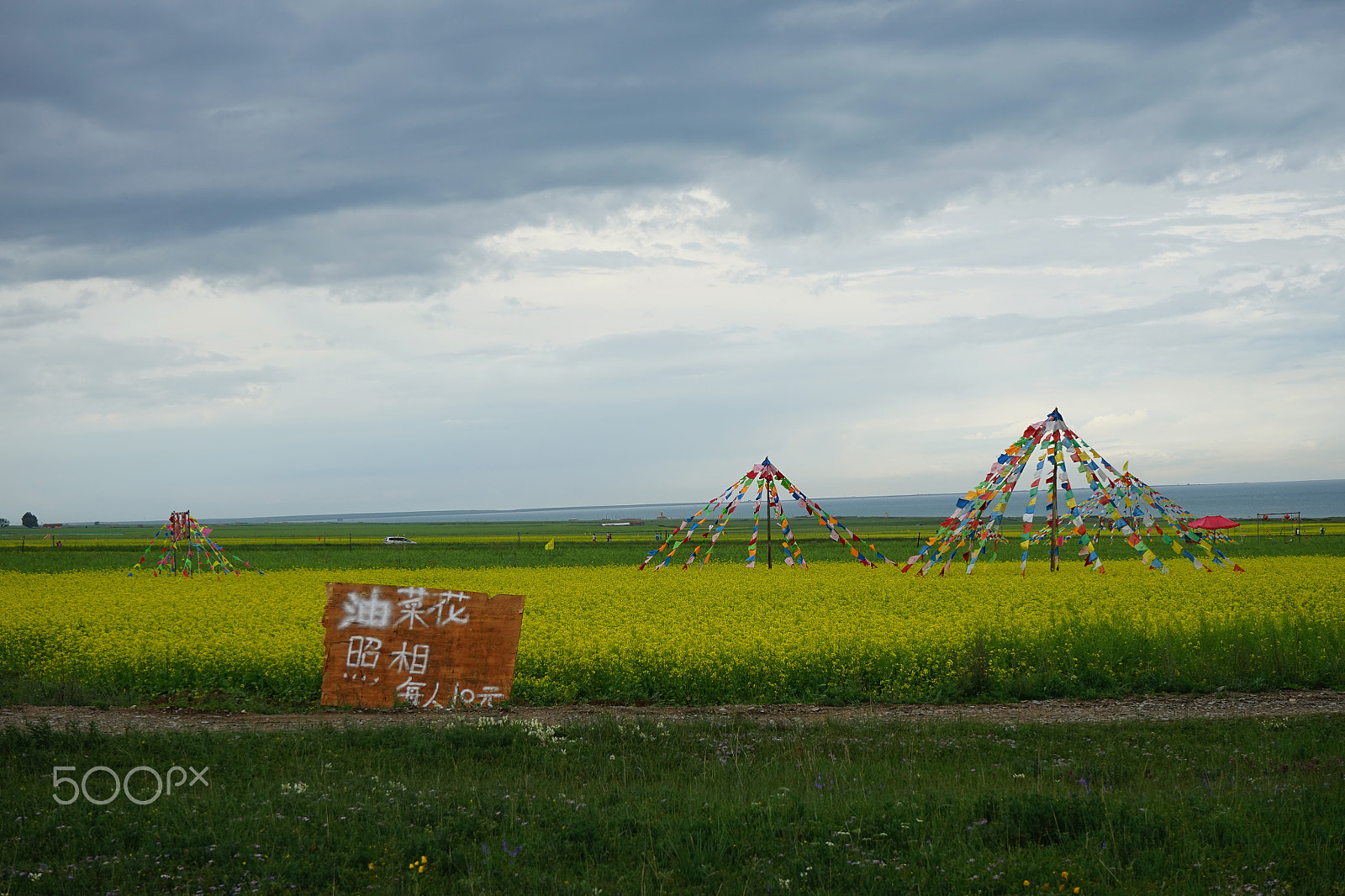 Sony FE 28-70mm F3.5-5.6 OSS sample photo. Qinghai lake photography