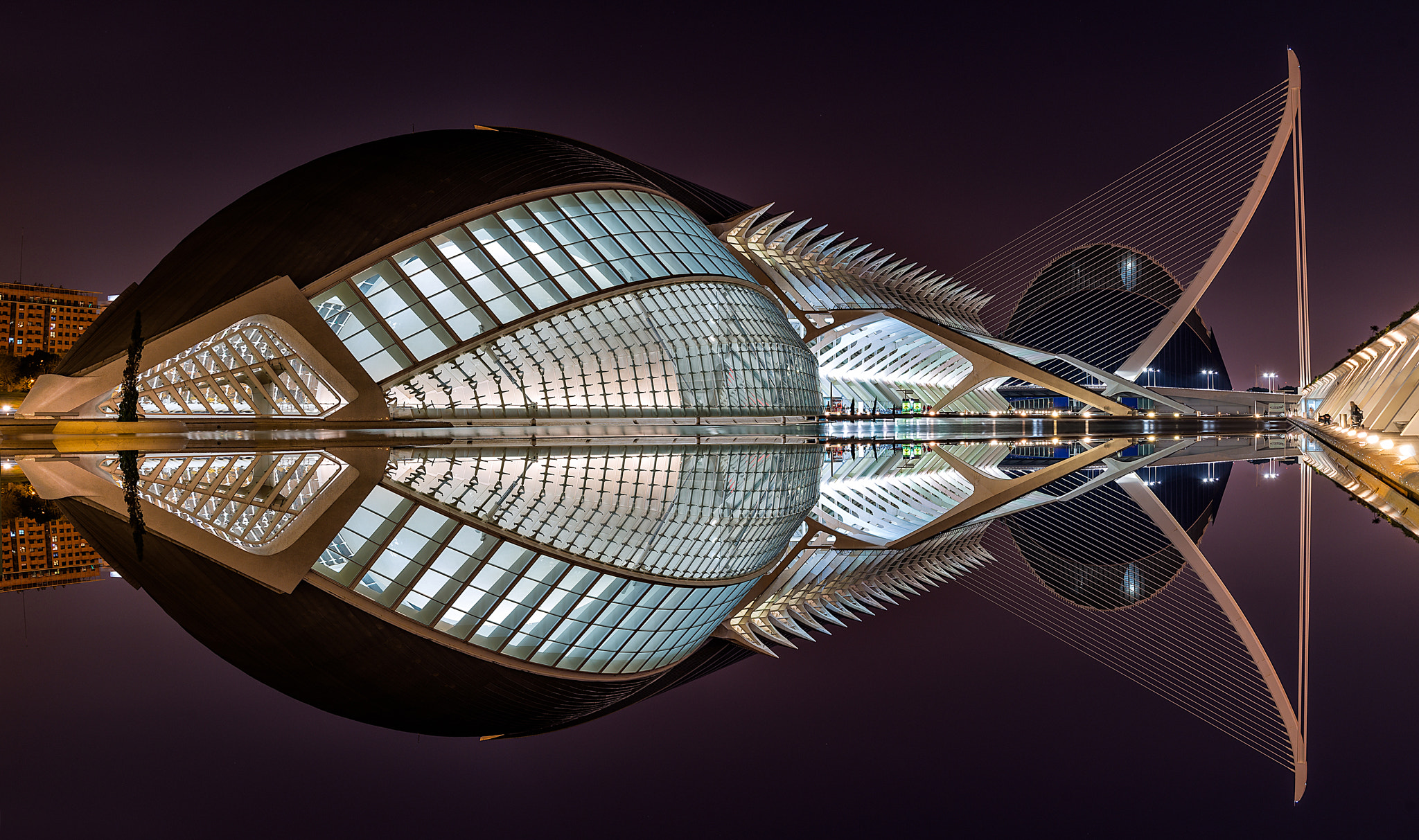 Nikon AF-S Nikkor 18-35mm F3.5-4.5G ED sample photo. City of arts and sciencies (ii) photography