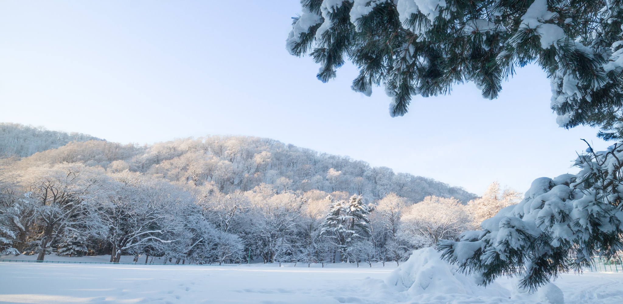 Canon EOS M3 + Canon EF-M 11-22mm F4-5.6 IS STM sample photo. Snowy day photography