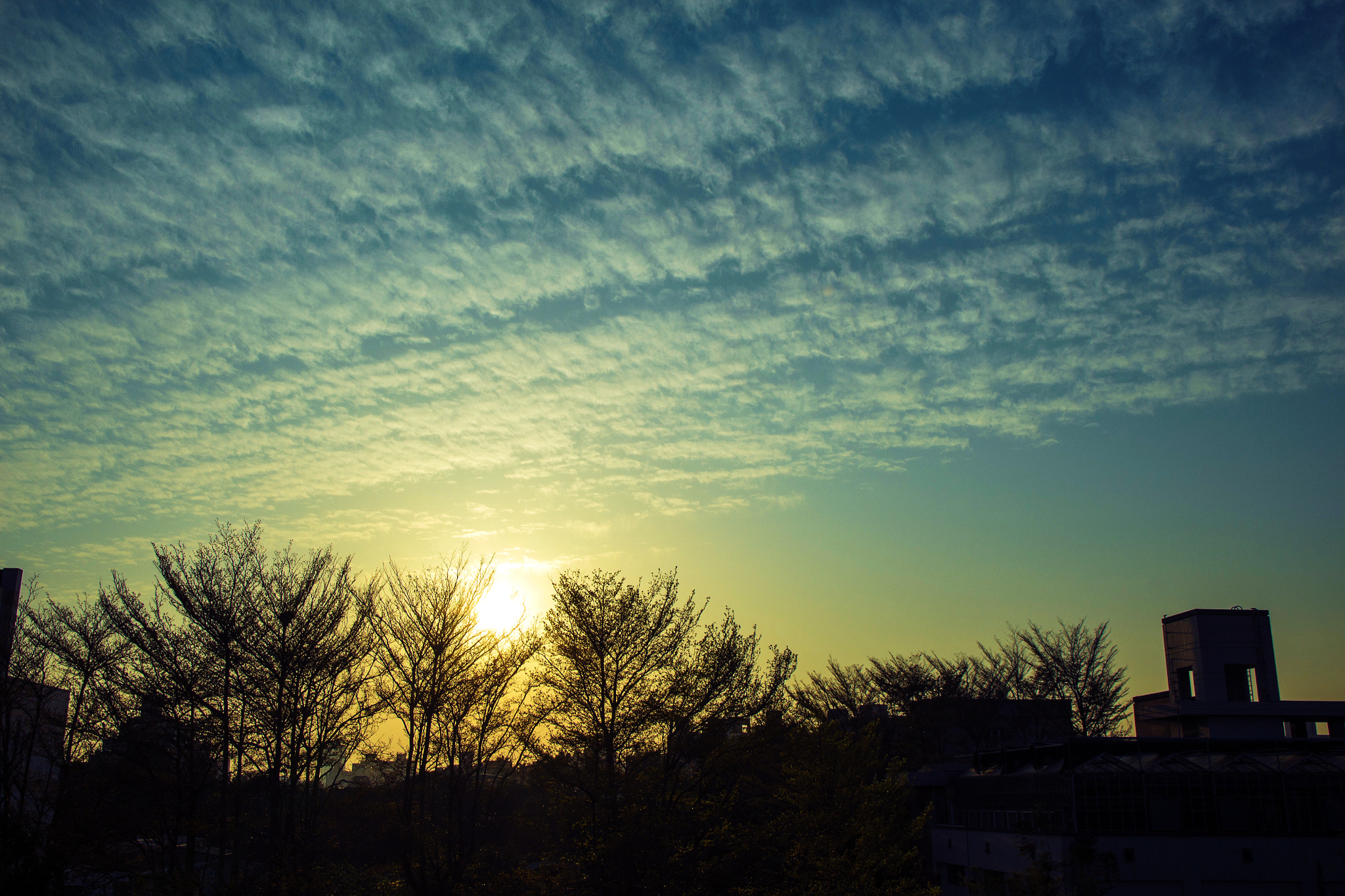 Canon EF-S 17-55mm F2.8 IS USM sample photo. Sky photography