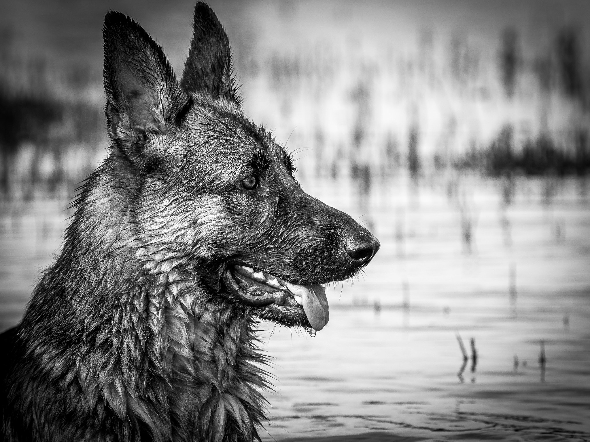 Nikon D7200 sample photo. Gsd portrait photography
