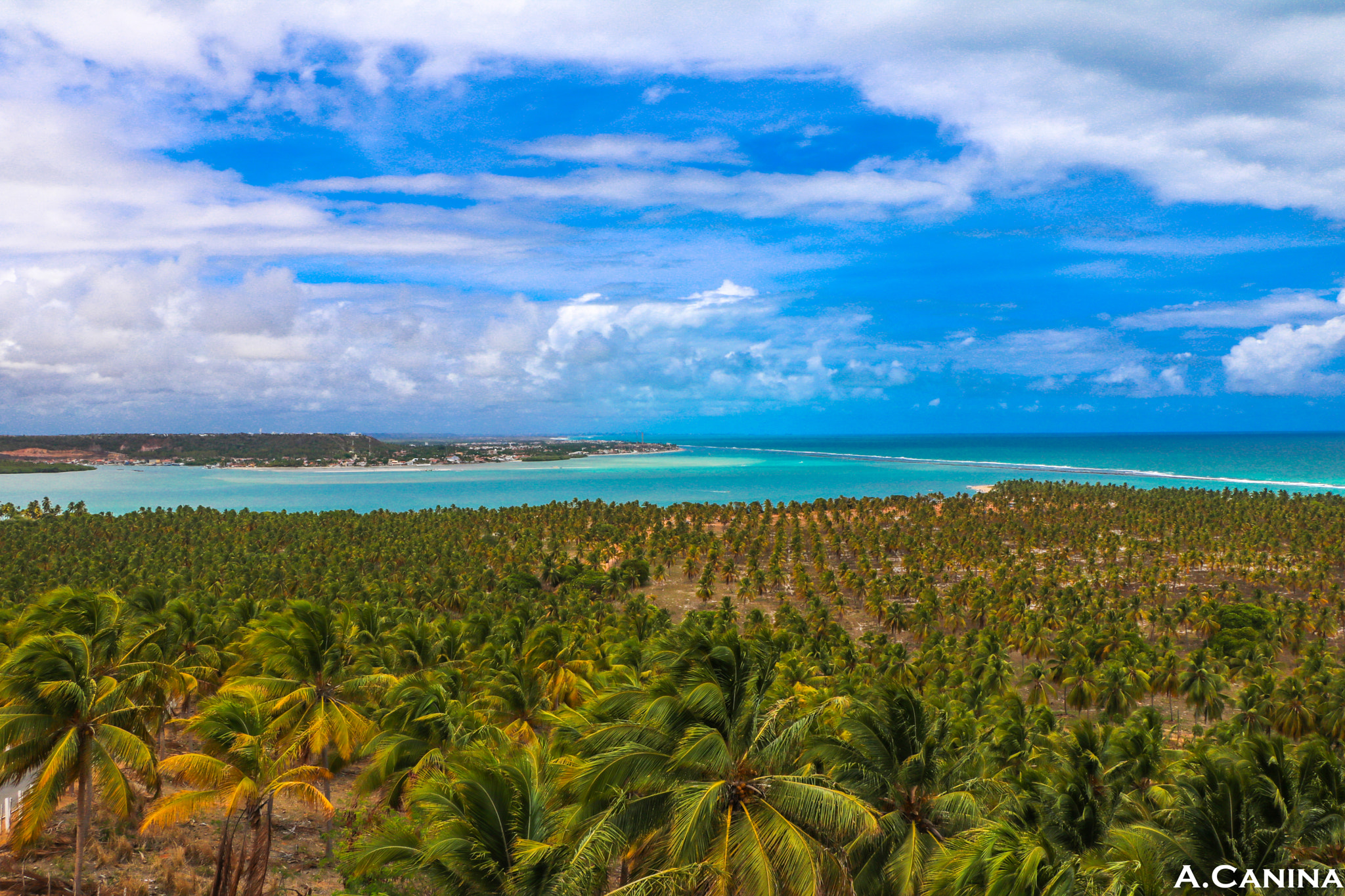 Canon EOS 760D (EOS Rebel T6s / EOS 8000D) sample photo. Gunga´s beach sightseeing photography