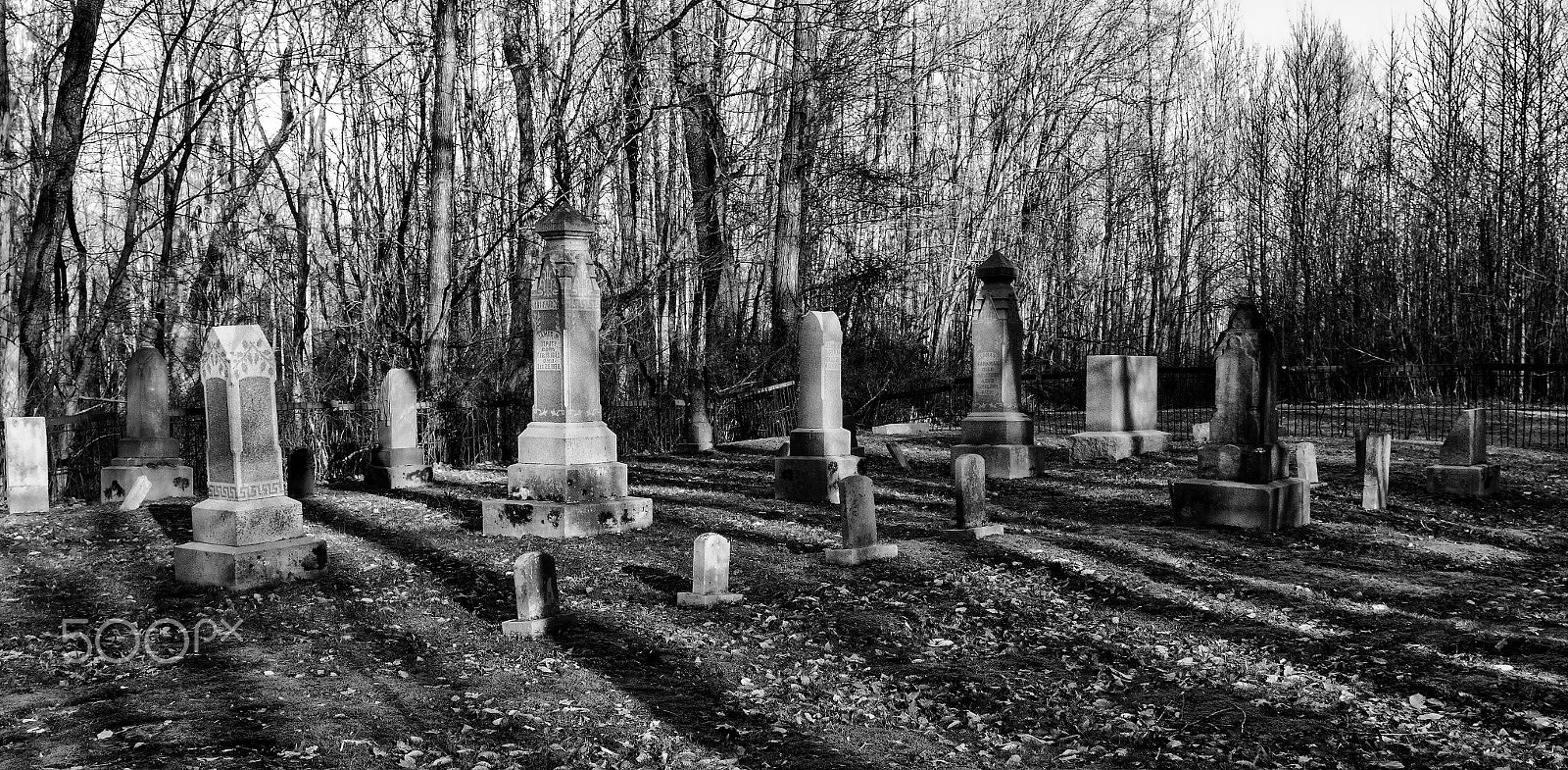 Canon EOS 60D sample photo. Cemetery photography