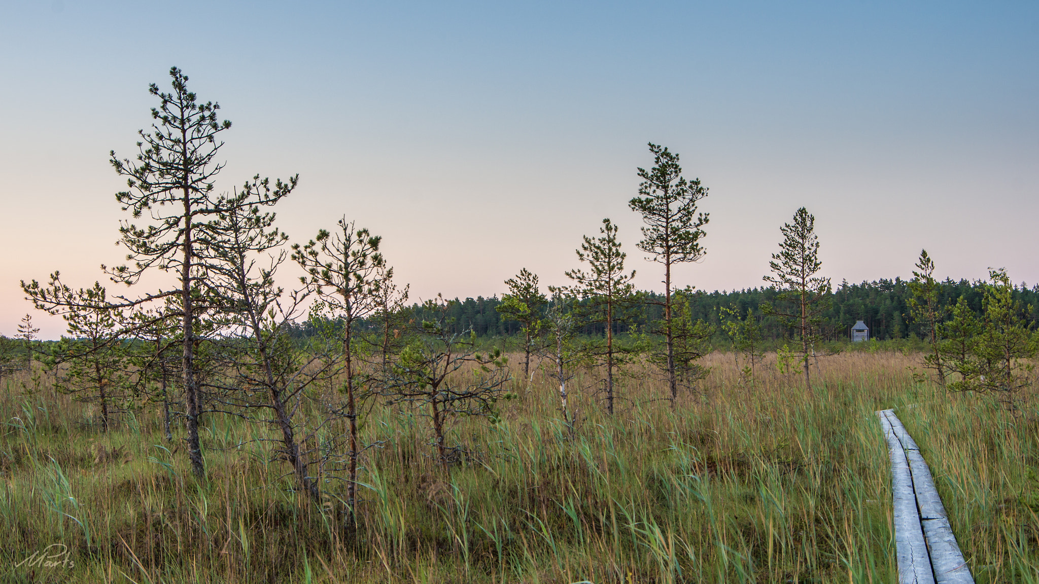 Pentax K-5 II sample photo. The watchtower photography