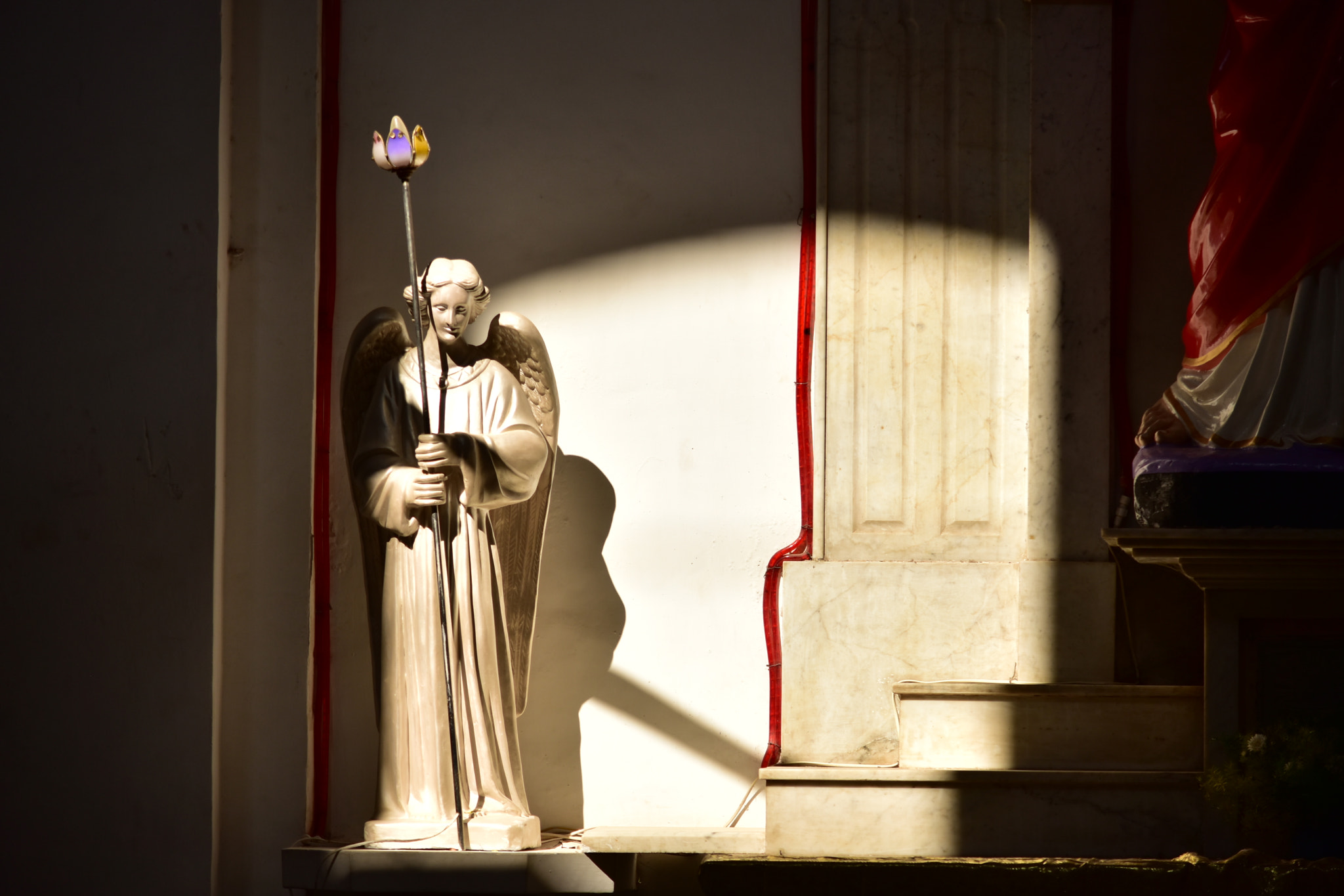 Nikon D5500 sample photo. Still angel photography