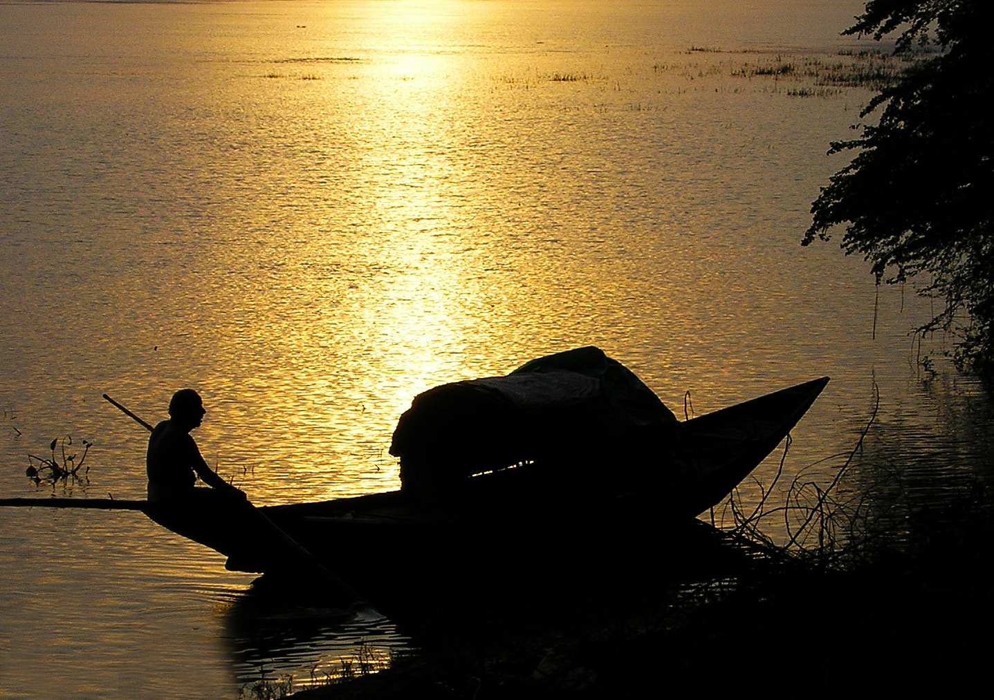 Olympus X100,D540Z,C310Z sample photo. Boatman photography