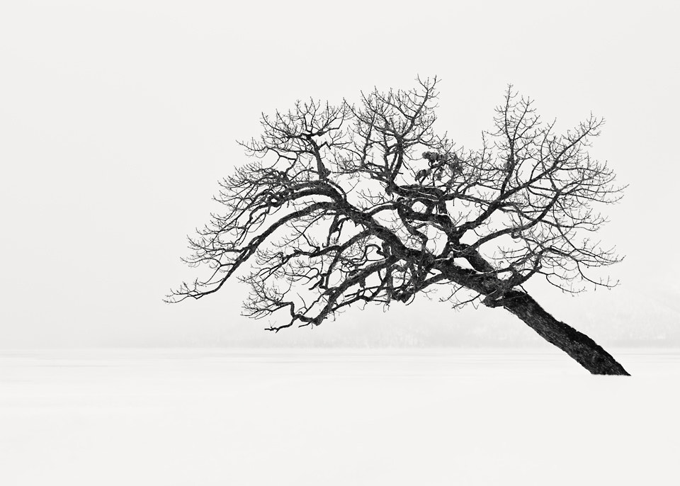 Canon EOS-1Ds Mark III sample photo. A dream within a dream photography