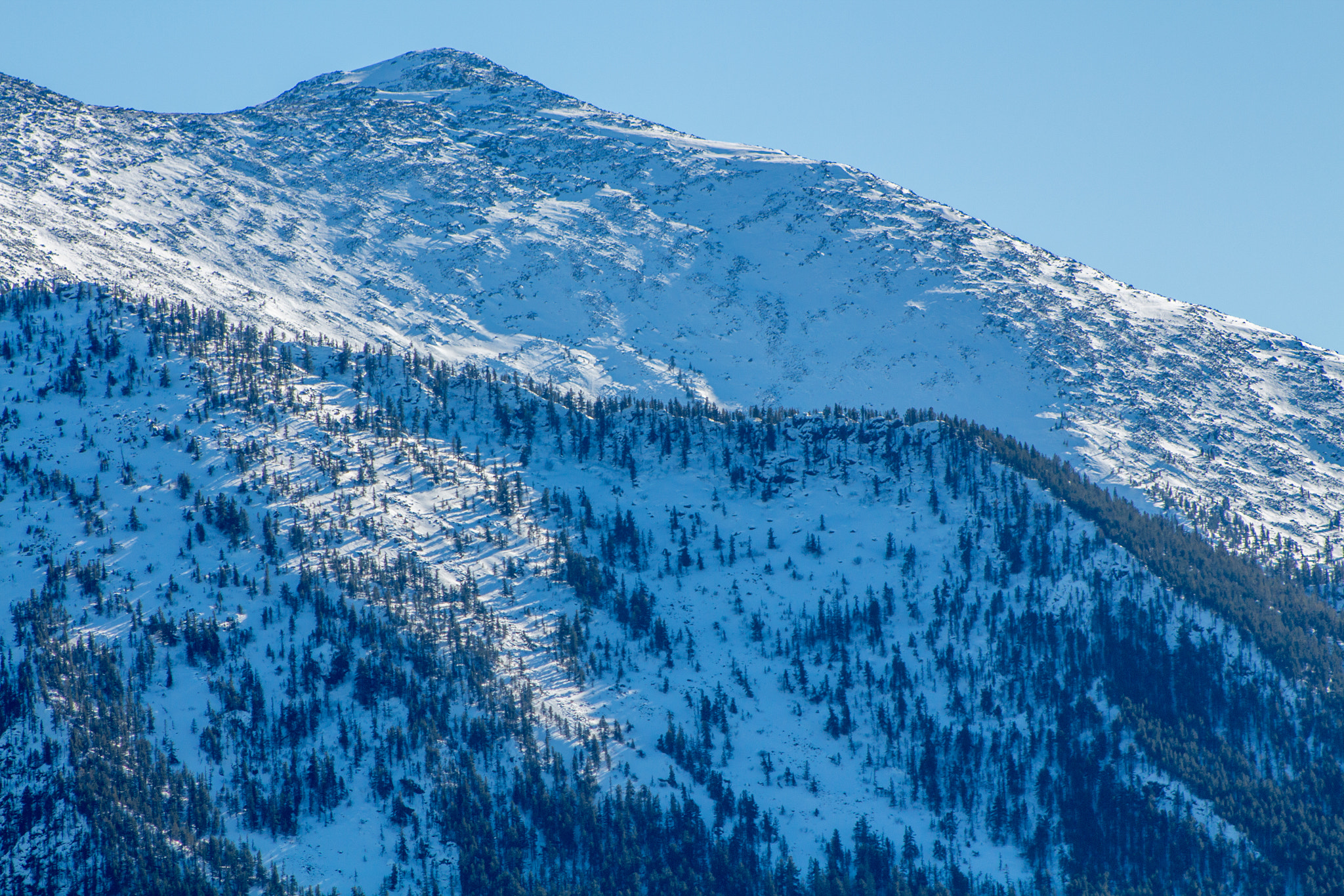 Canon EF 75-300mm f/4-5.6 USM sample photo