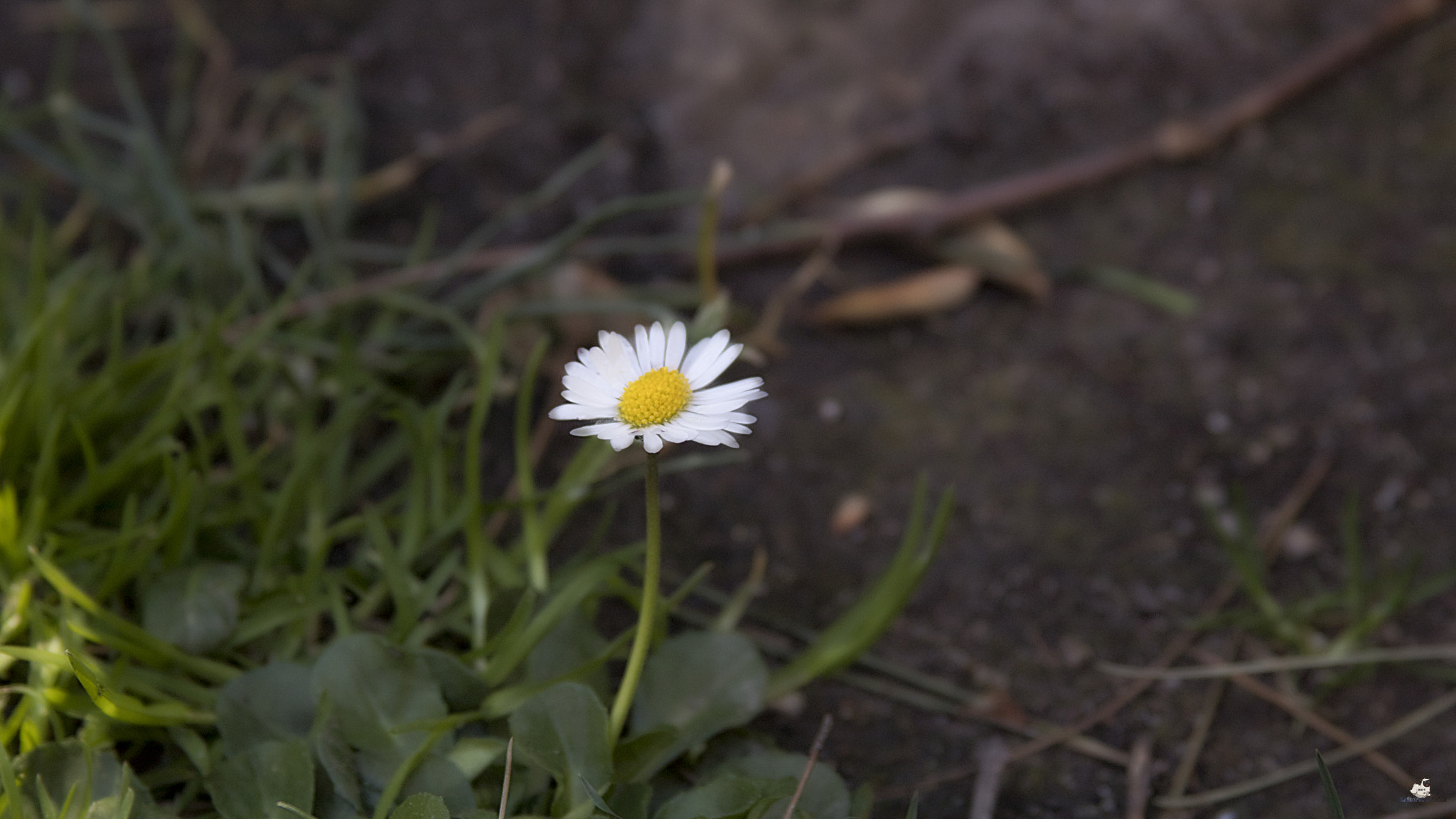 Canon EF 28-135mm F3.5-5.6 IS USM sample photo. 2-00.jpg photography
