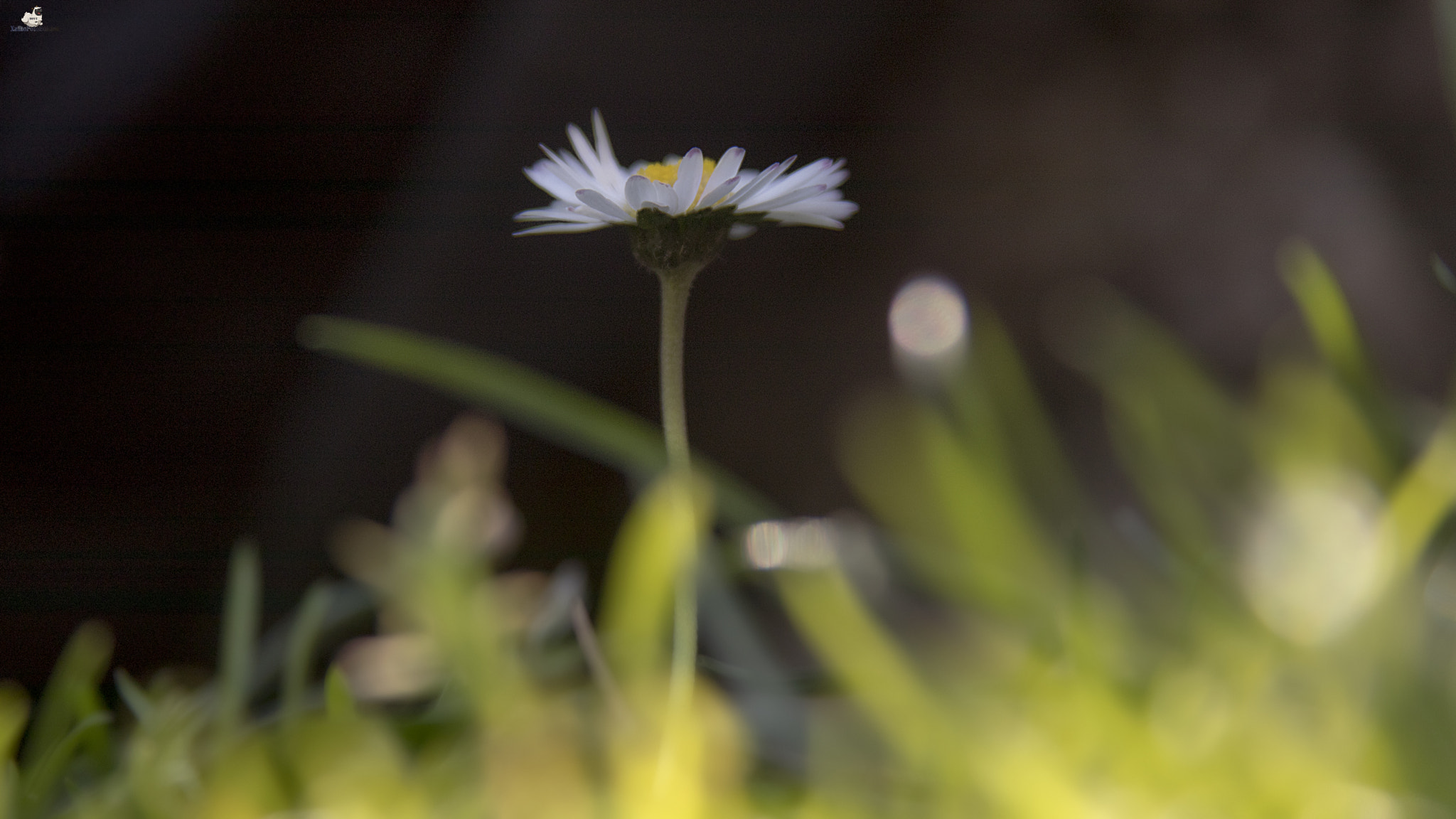 Canon EF 28-135mm F3.5-5.6 IS USM sample photo. 23.jpg photography