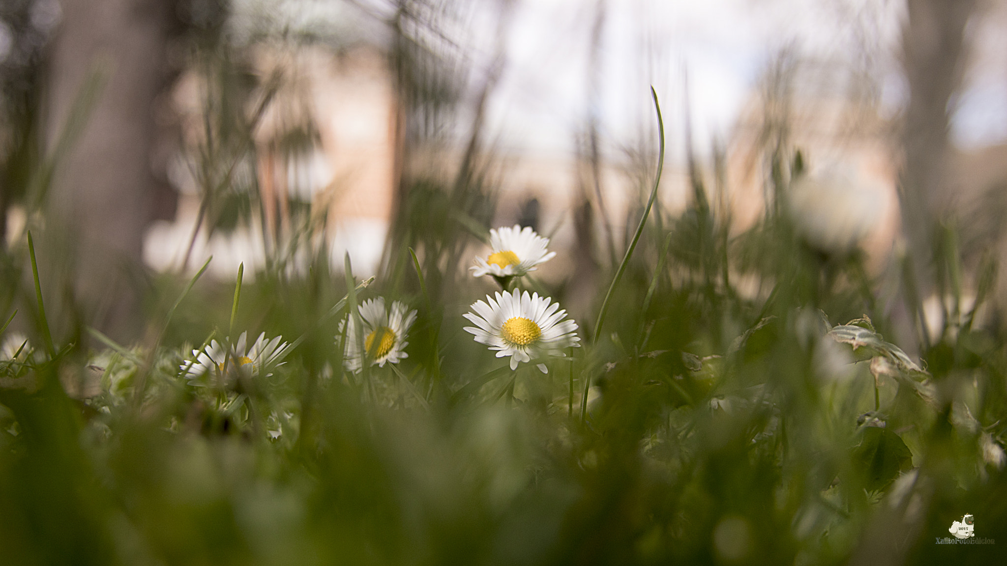 Canon EF 28-135mm F3.5-5.6 IS USM sample photo. 04.jpg photography