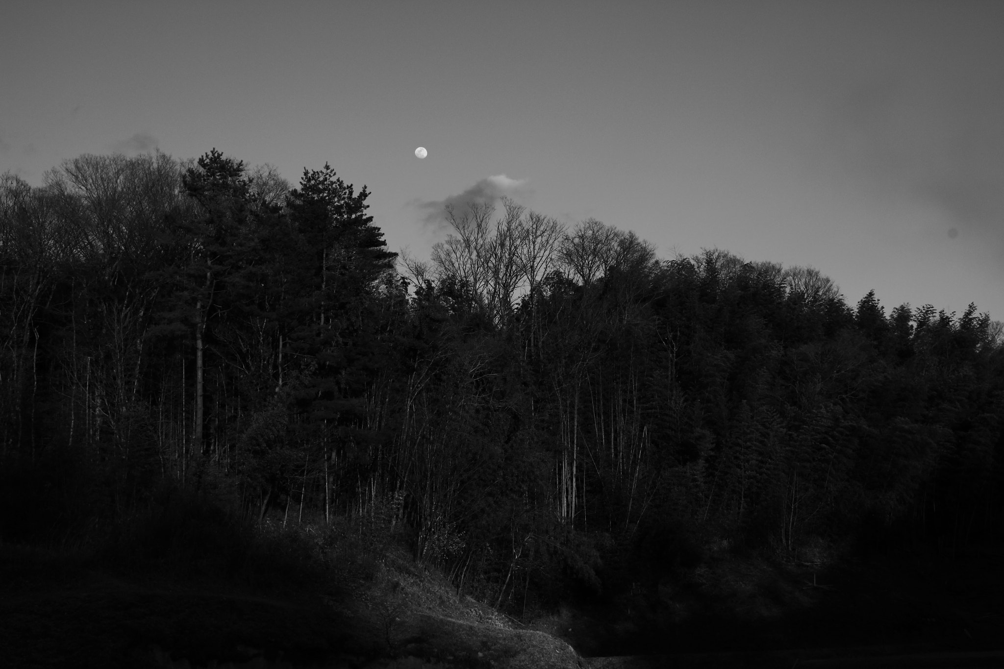 Canon EOS 100D (EOS Rebel SL1 / EOS Kiss X7) sample photo. Moon photography