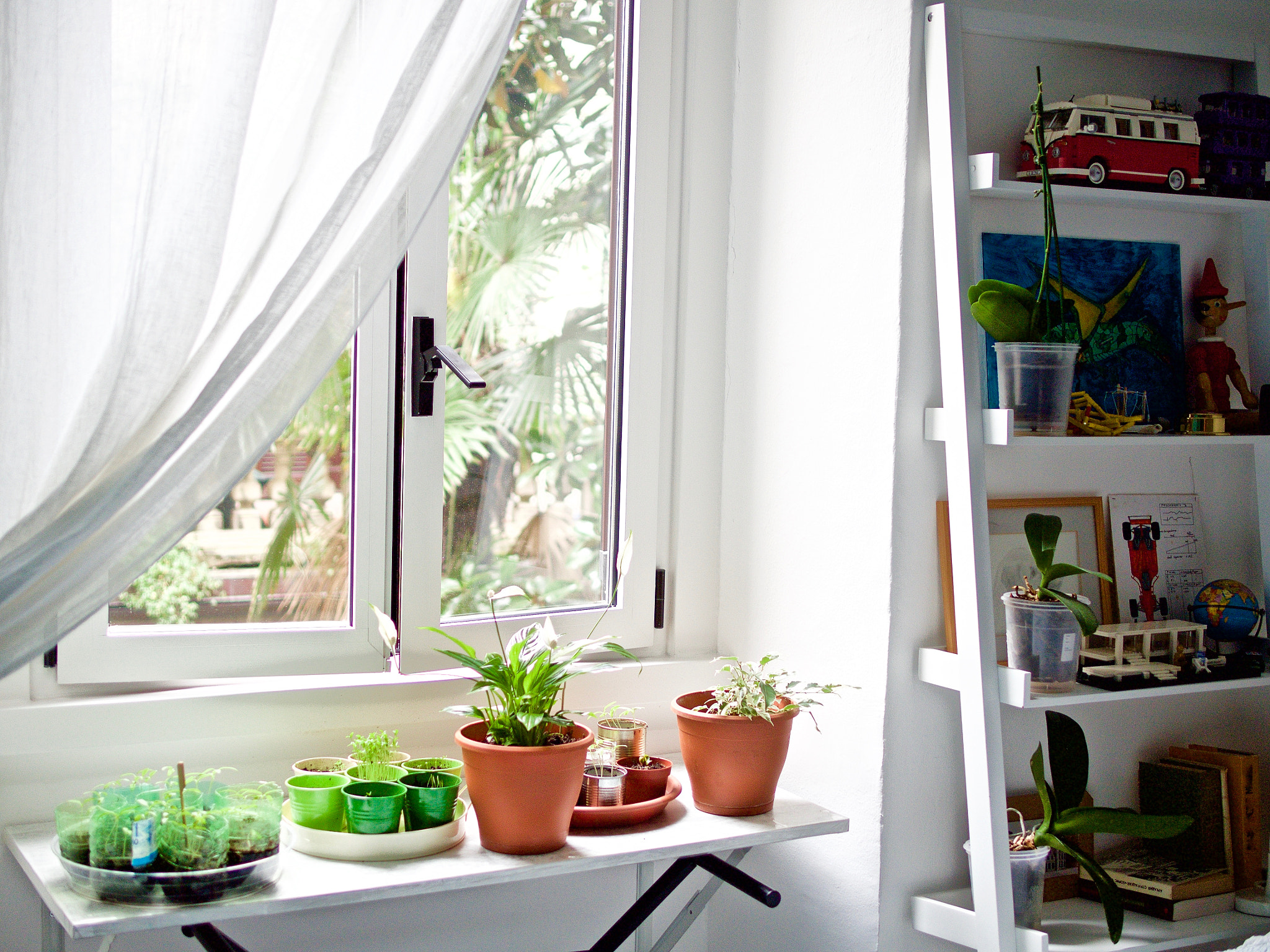 Panasonic Leica DG Summilux 25mm F1.4 II ASPH sample photo. Home's greenery photography