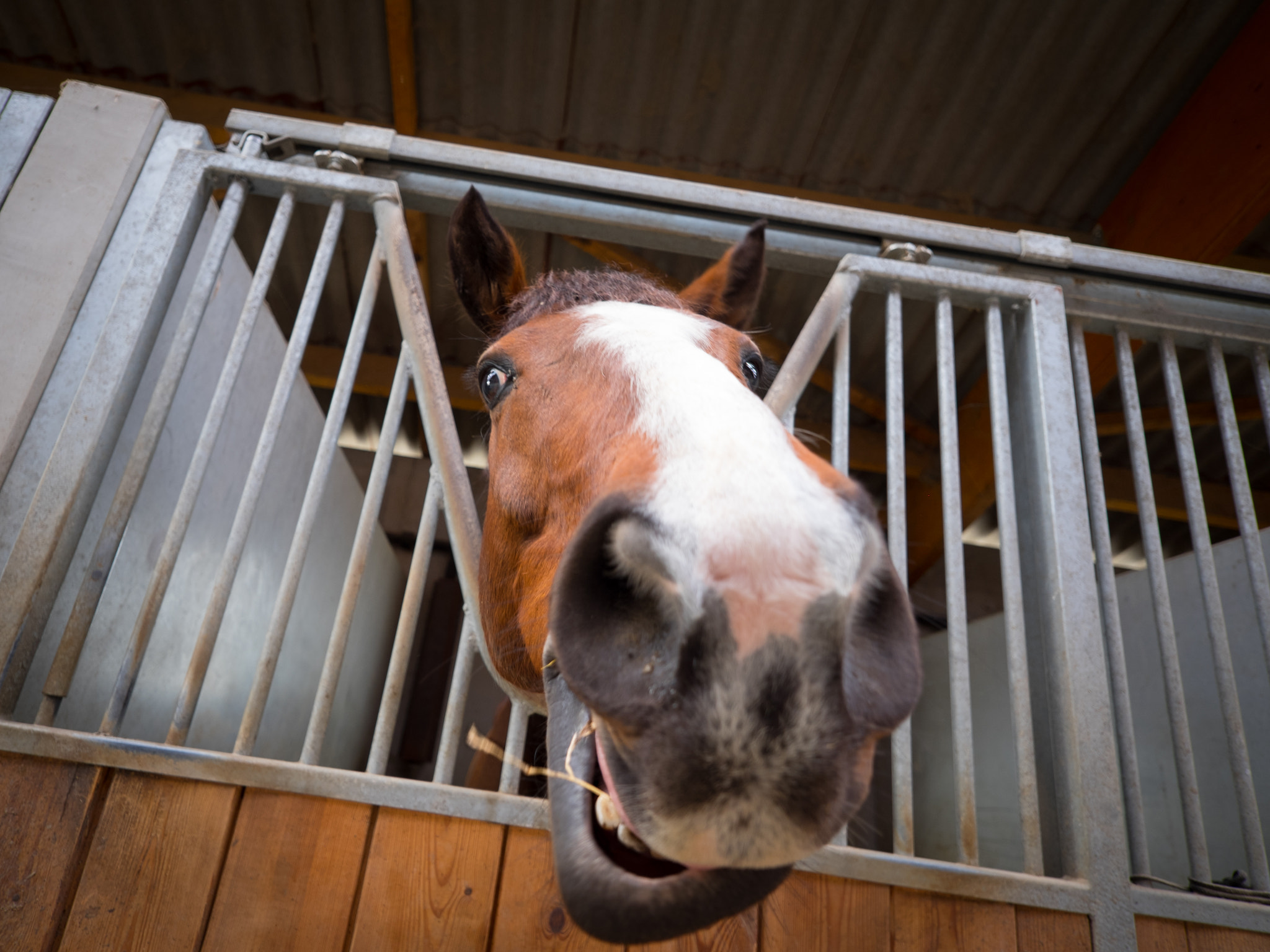 ZEISS Touit 12mm F2.8 sample photo. Fantastic beast. :) photography