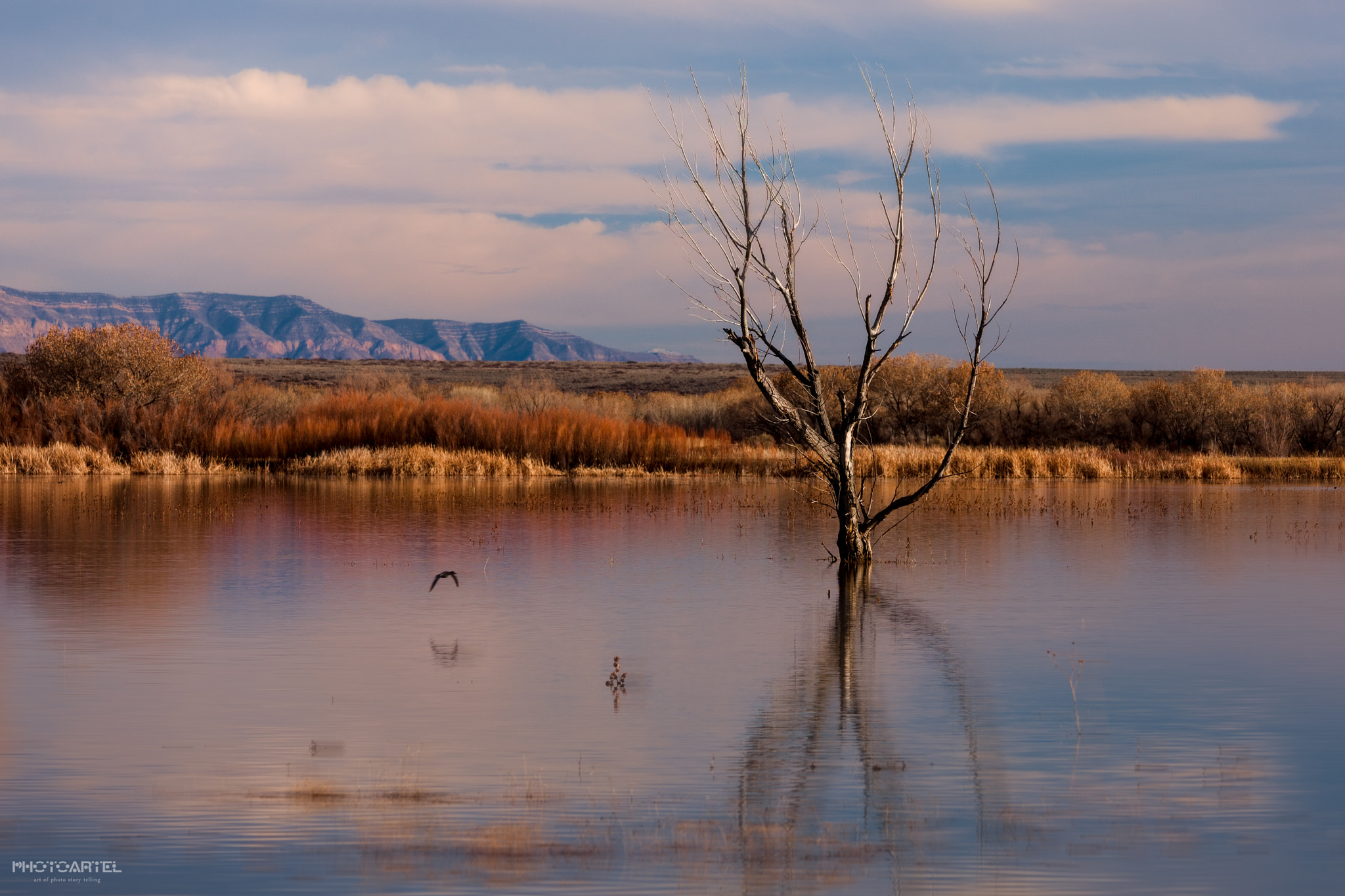 Canon EOS-1Ds Mark III sample photo. Nature's mirror photography
