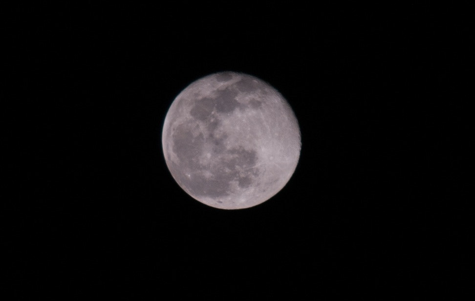 Nikon D200 sample photo. _dsc0058-2.jpg photography