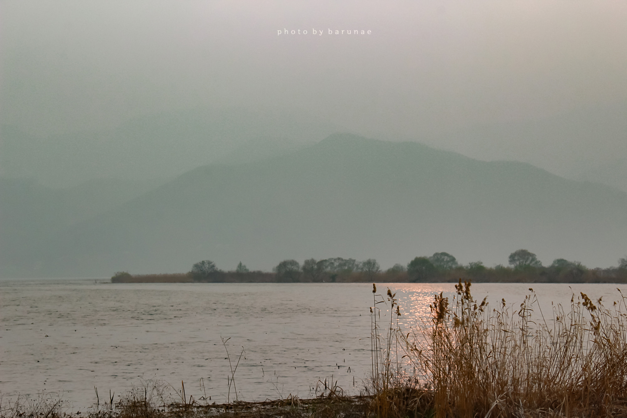 Canon EF-S 18-200mm F3.5-5.6 IS sample photo. Wet fog park photography