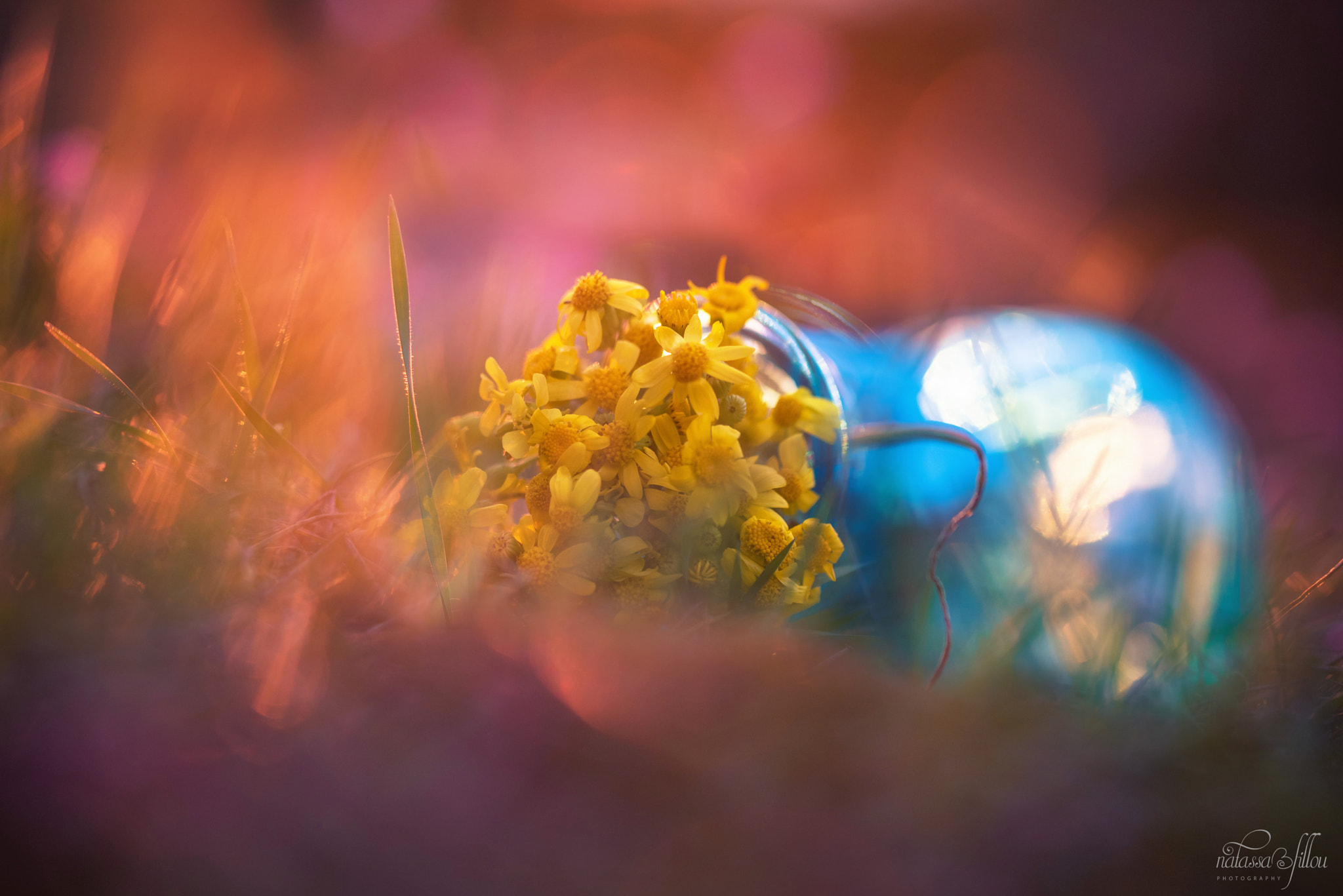 Nikon D750 sample photo. ~ vase of spring~ photography
