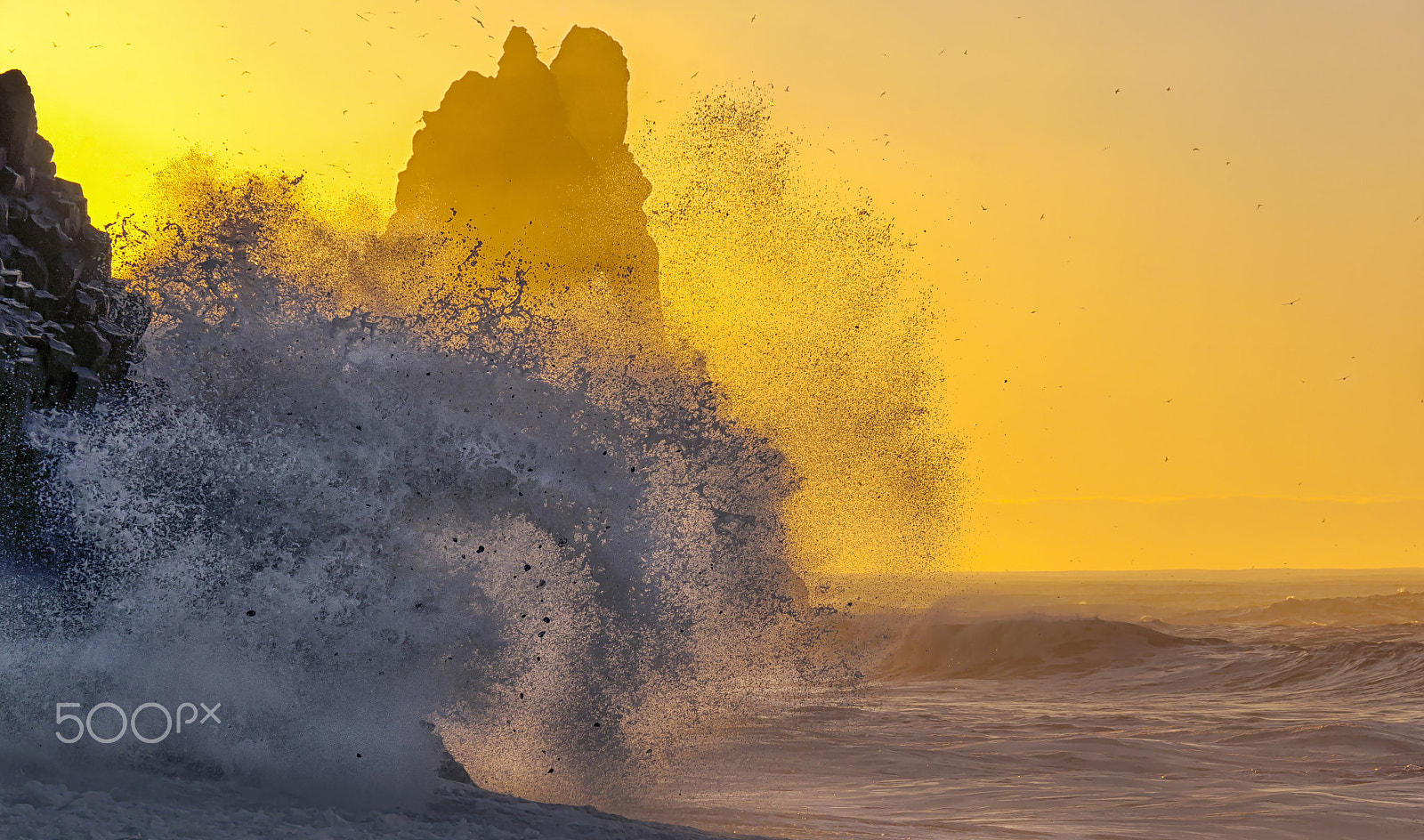 Nikon D90 sample photo. Black beach iceland photography