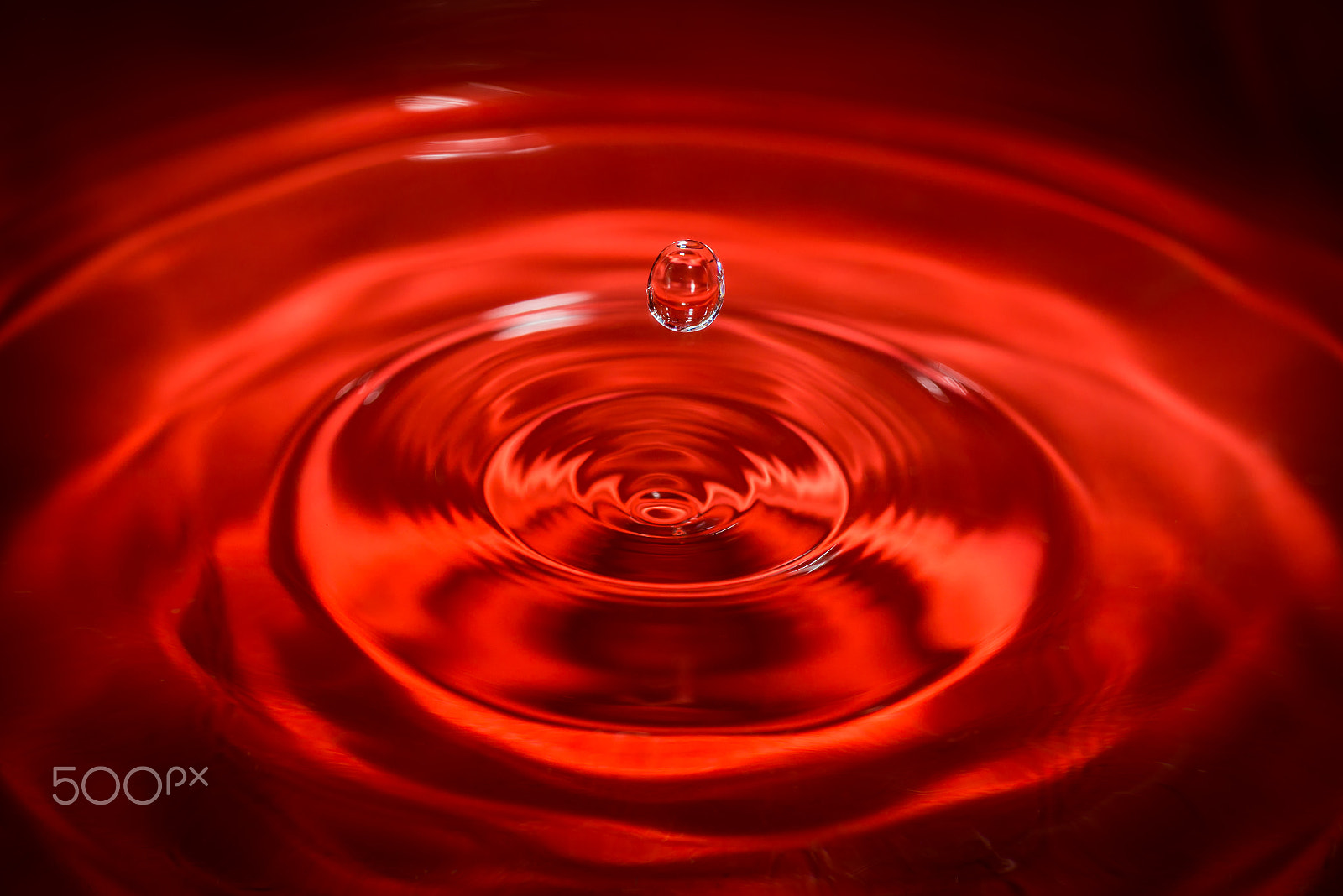 Nikon AF-S Micro-Nikkor 60mm F2.8G ED sample photo. Water drop photography
