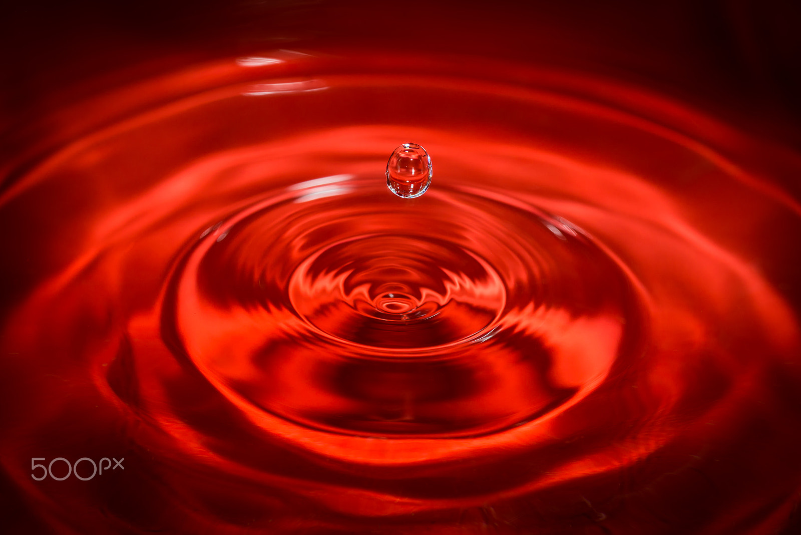 Nikon D800 + Nikon AF-S Micro-Nikkor 60mm F2.8G ED sample photo. Water drop photography