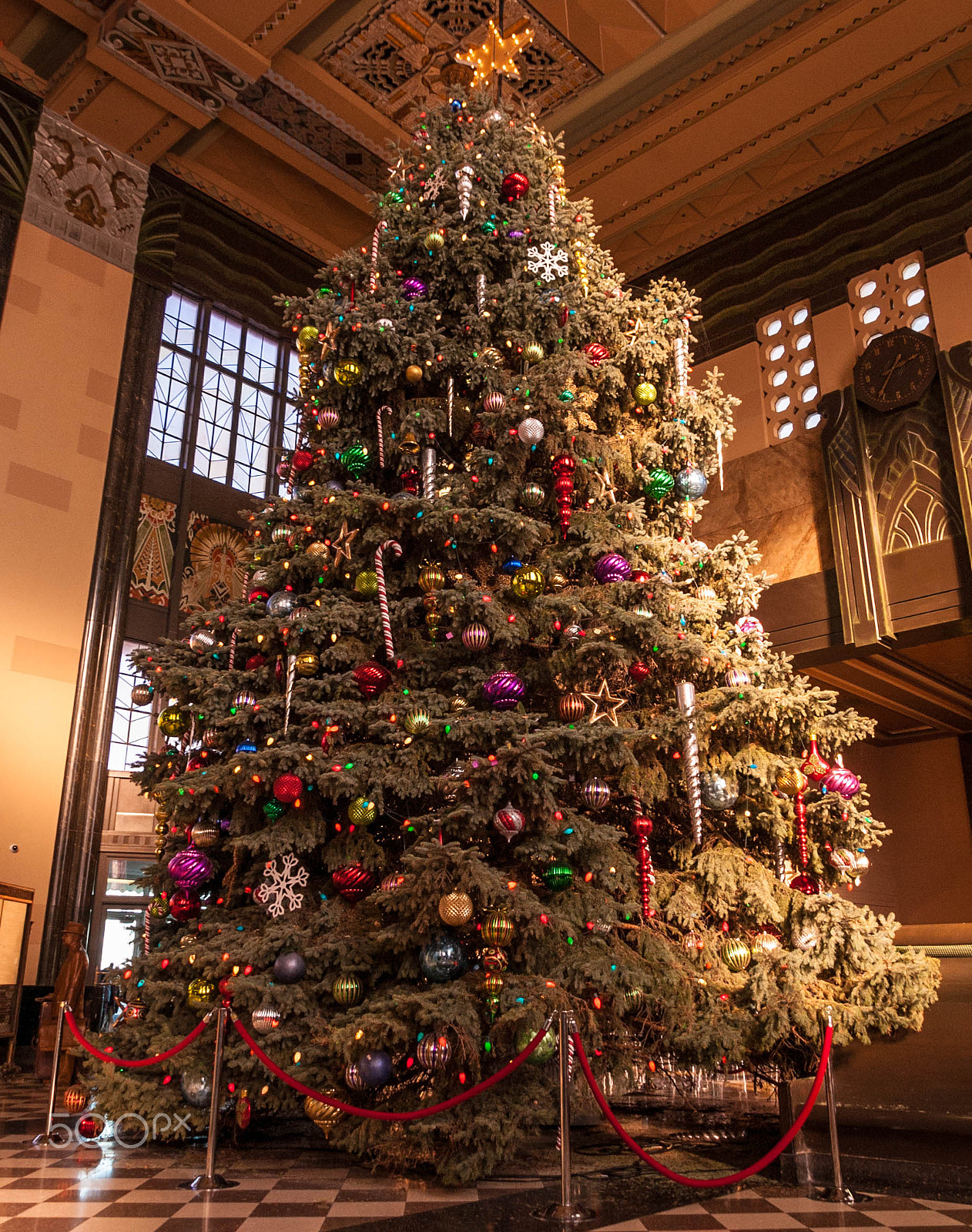 Nikon D700 sample photo. Christmas tree close photography