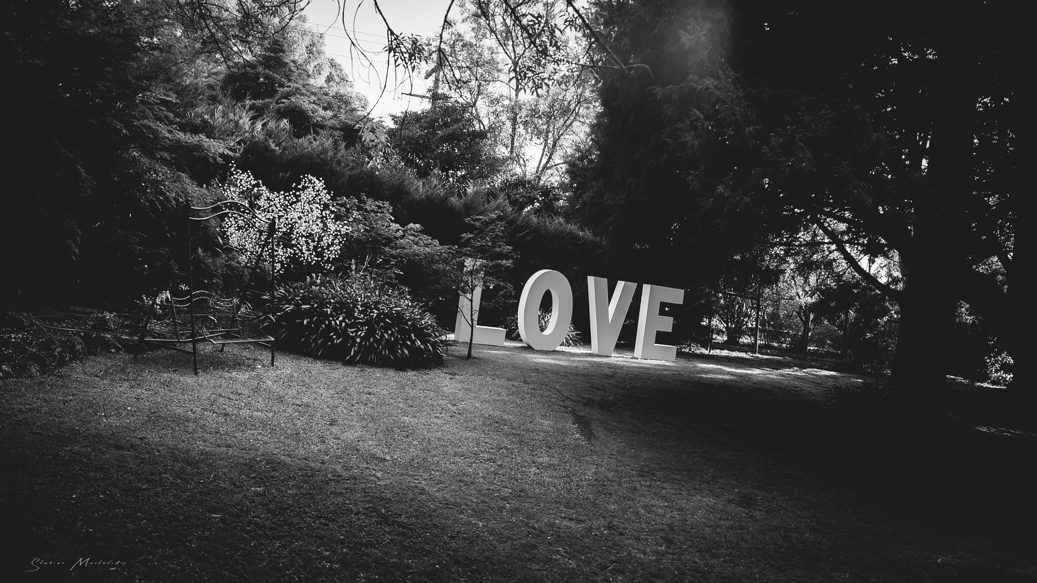 Sony a7S sample photo. Love is black & white photography