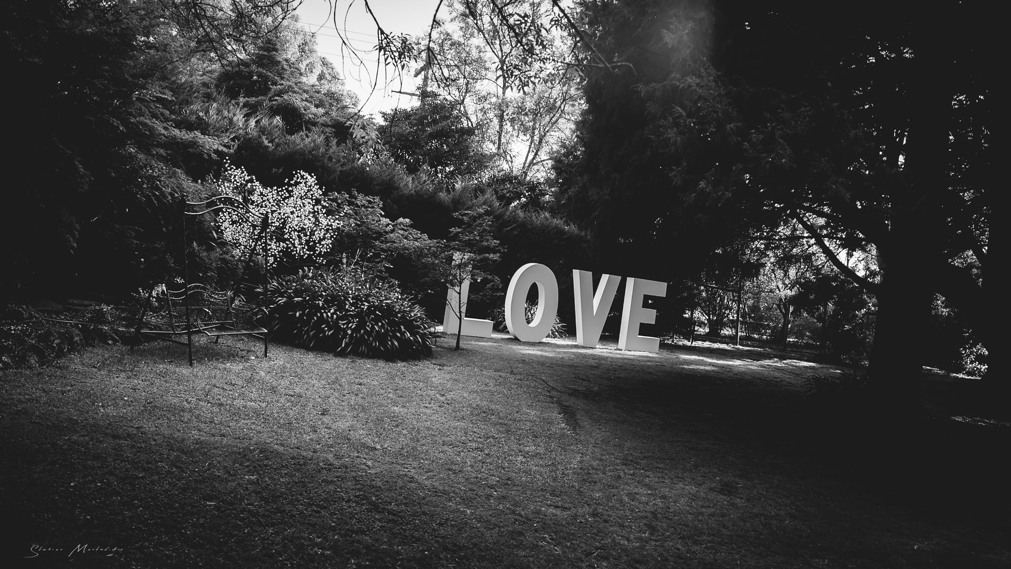 Tamron 18-270mm F3.5-6.3 Di II PZD sample photo. Love is black & white photography