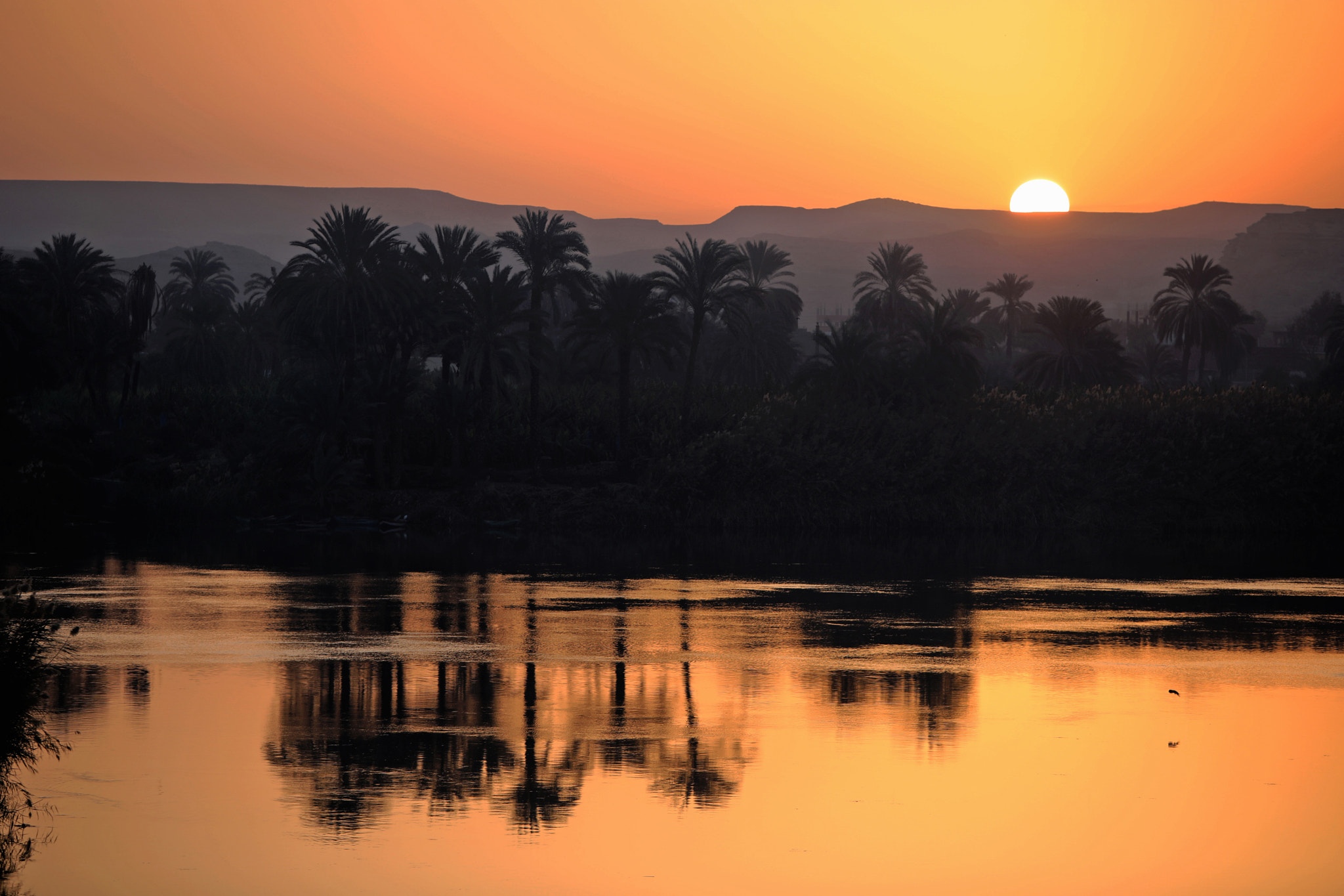 Canon EOS 5D Mark IV + Canon EF 70-200mm F2.8L IS USM sample photo. Morning in the nile river photography