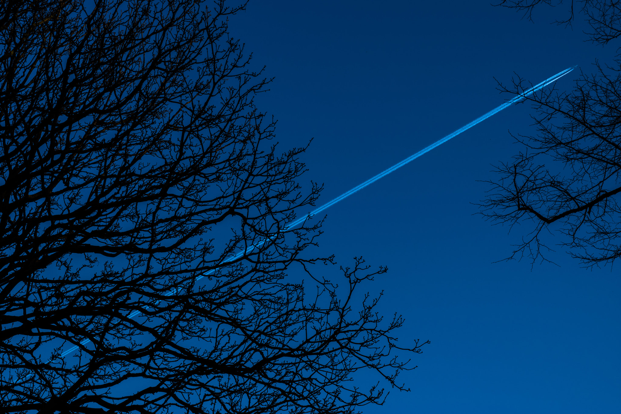 Nikon D5500 + Nikon AF-S Nikkor 50mm F1.8G sample photo. A better place photography