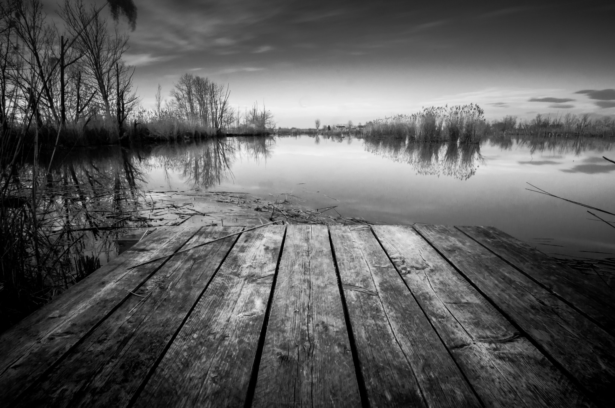 Nikon D90 sample photo. Sunset b&w photography