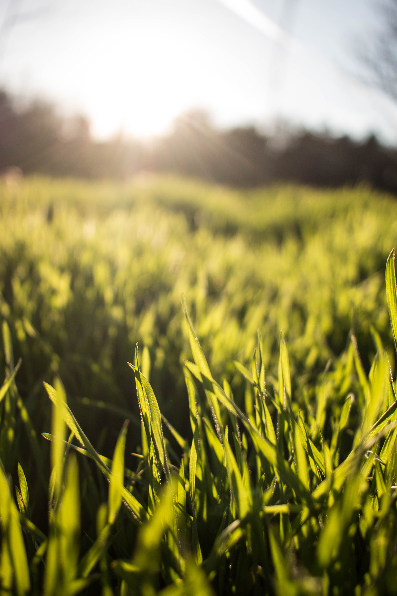 Canon EF-S 24mm F2.8 STM sample photo. Sunset photography