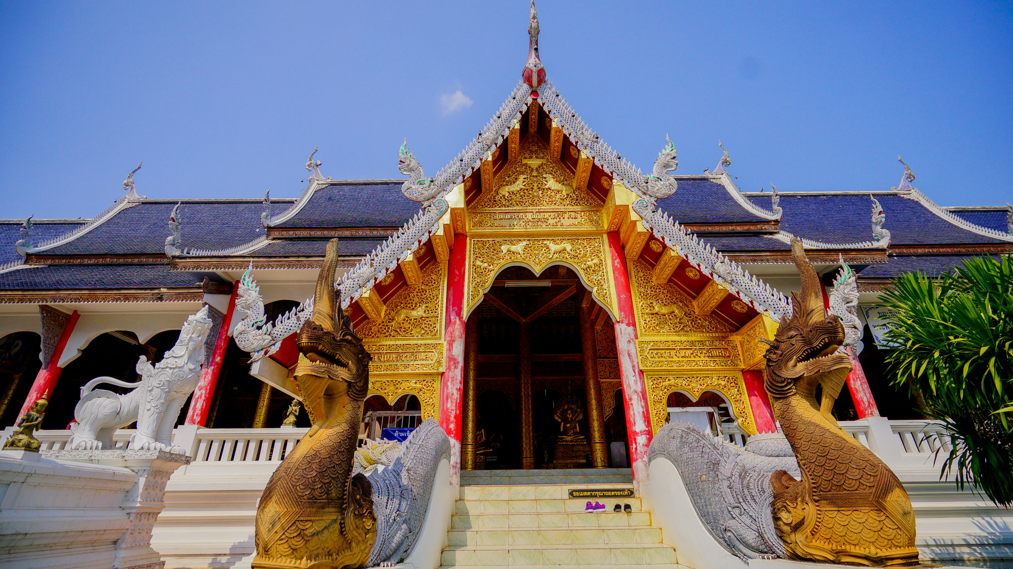Sony a7 + Sony Vario-Tessar T* FE 16-35mm F4 ZA OSS sample photo. Dsc04804-2.jpg photography