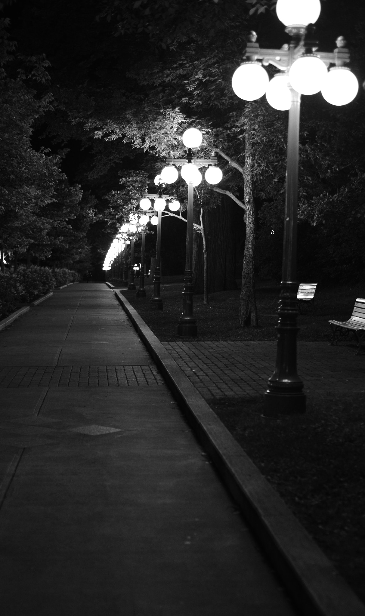 Nikon D610 + AF Nikkor 50mm f/1.8 sample photo. Quebec by night photography