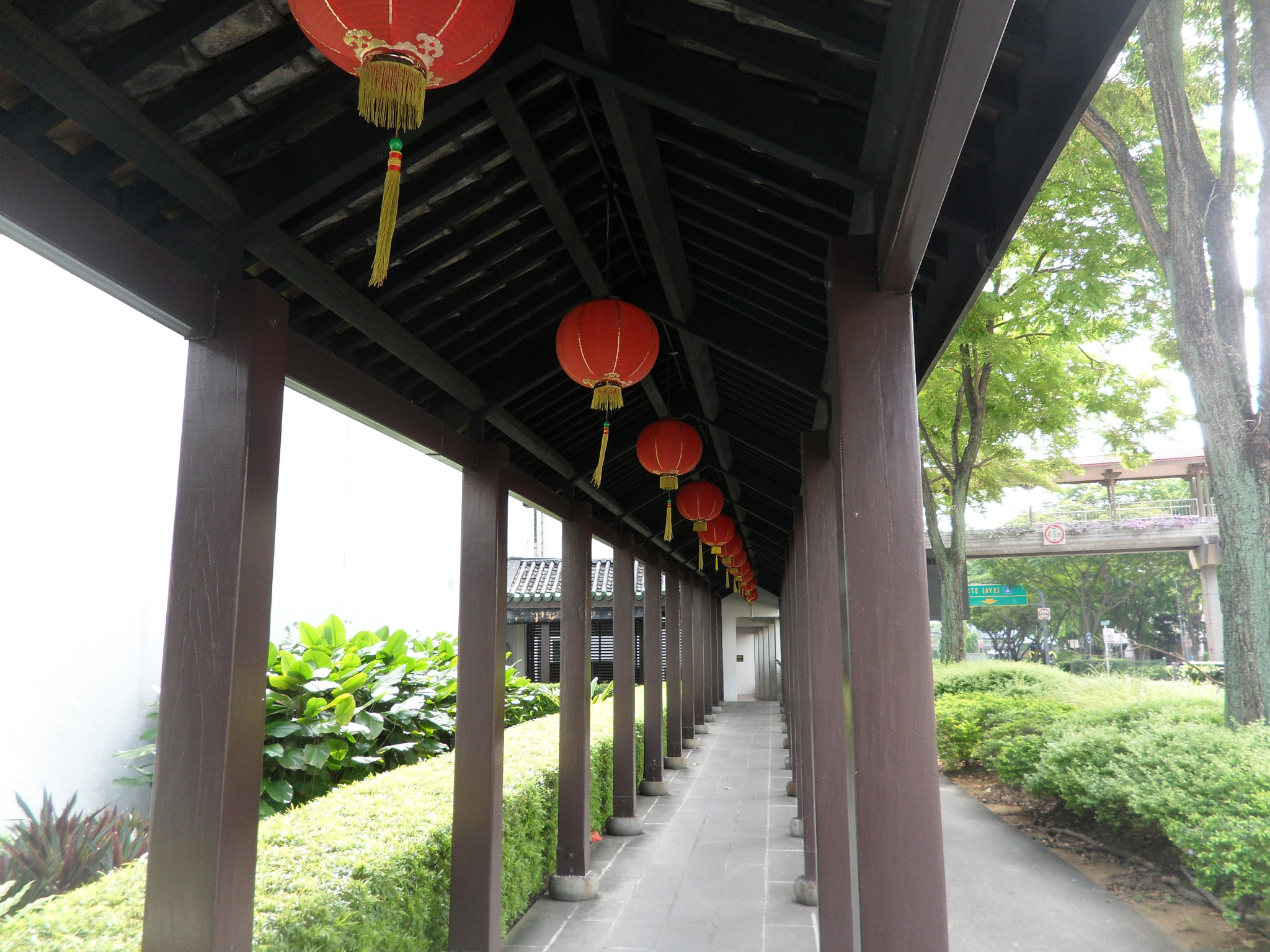Samsung ST550 /  ST560 / VLUU ST550 /  TL225 sample photo. Red lantern walkway photography