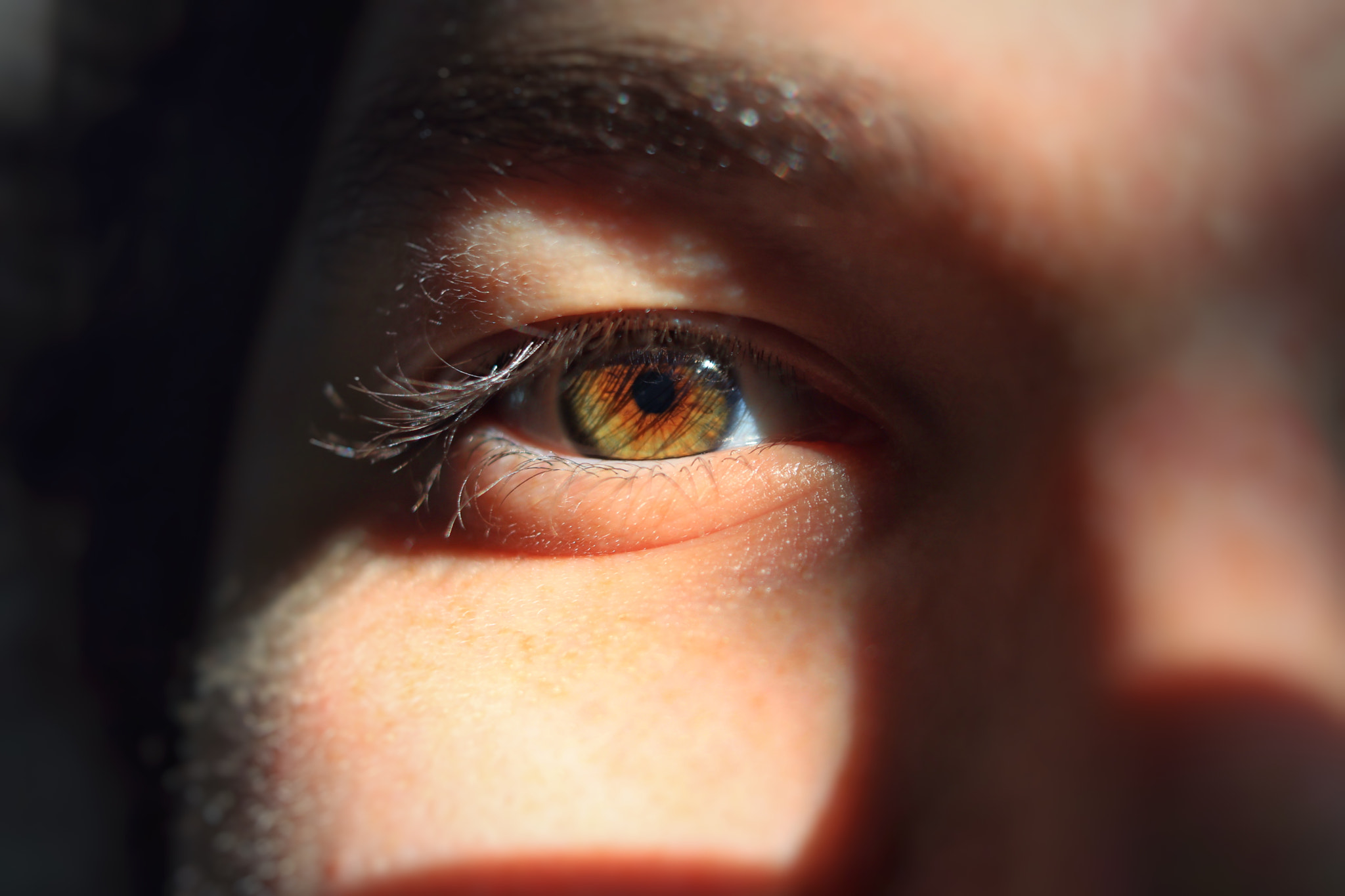Canon EF-S 24mm F2.8 STM sample photo. I spilled iced tea on my eye. unsweetened stares. photography