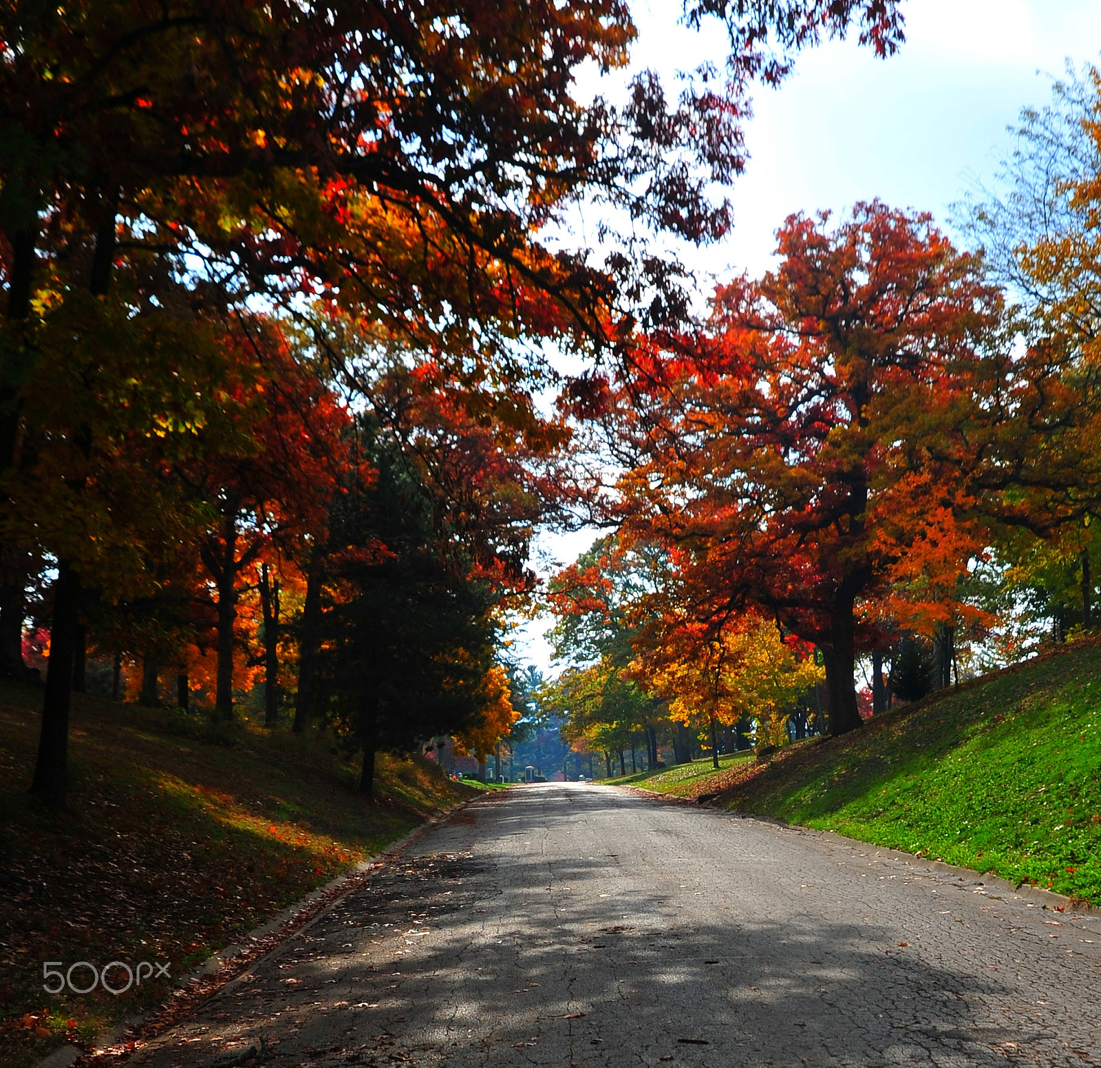 Nikon D700 + Nikon AF-S DX Nikkor 18-105mm F3.5-5.6G ED VR sample photo. Country road in fall photography