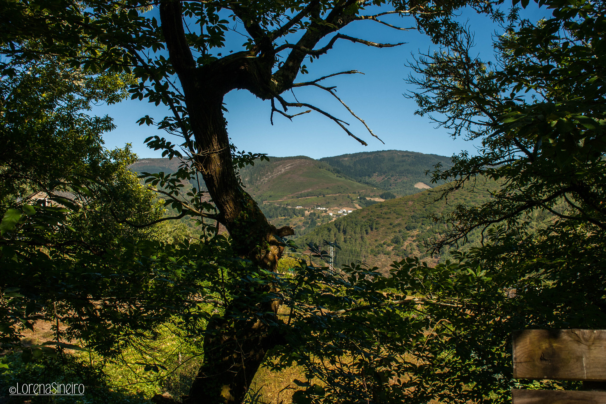 Canon EOS 1000D (EOS Digital Rebel XS / EOS Kiss F) sample photo. In asturias countryside photography