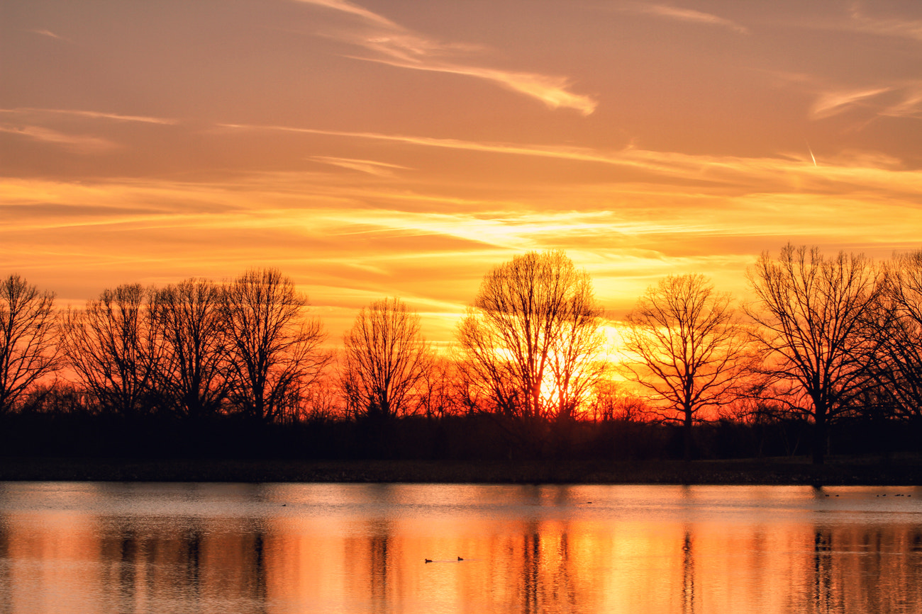 Canon EF 70-200mm F2.8L IS II USM sample photo. Spring sunset photography