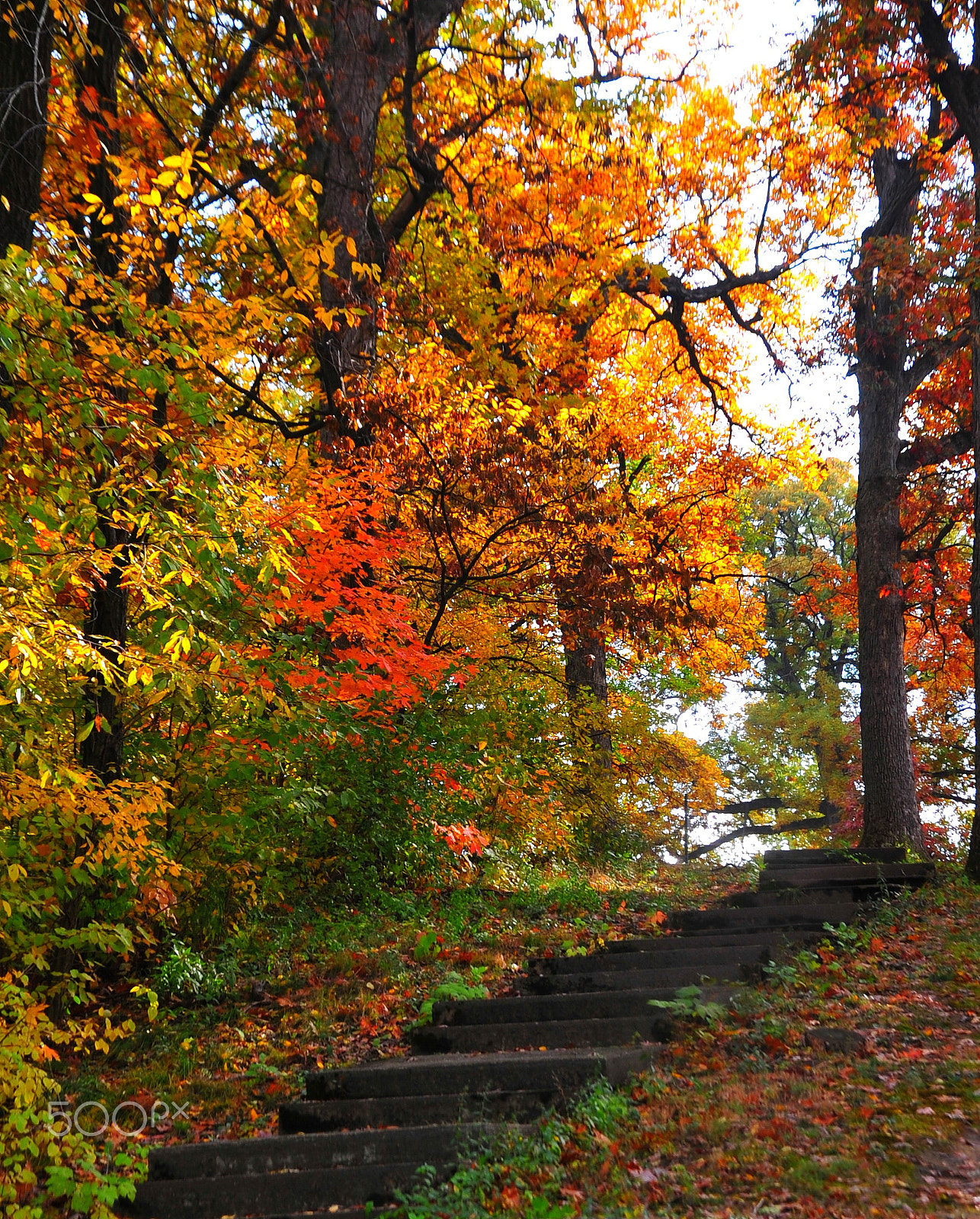 Nikon D700 sample photo. Country steps in fall photography