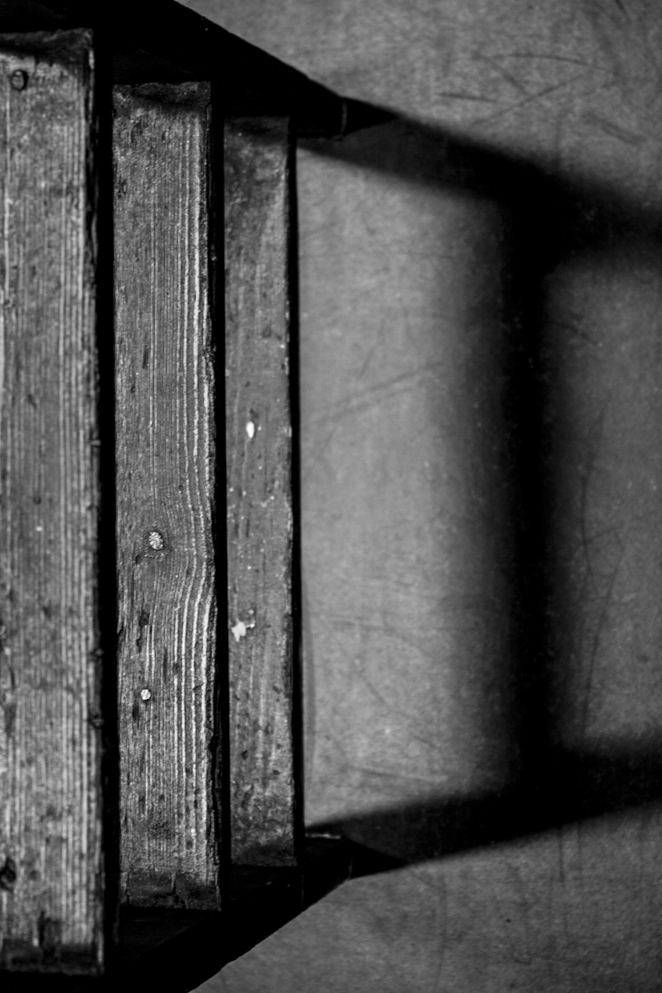 Canon EOS 400D (EOS Digital Rebel XTi / EOS Kiss Digital X) sample photo. Wood photography