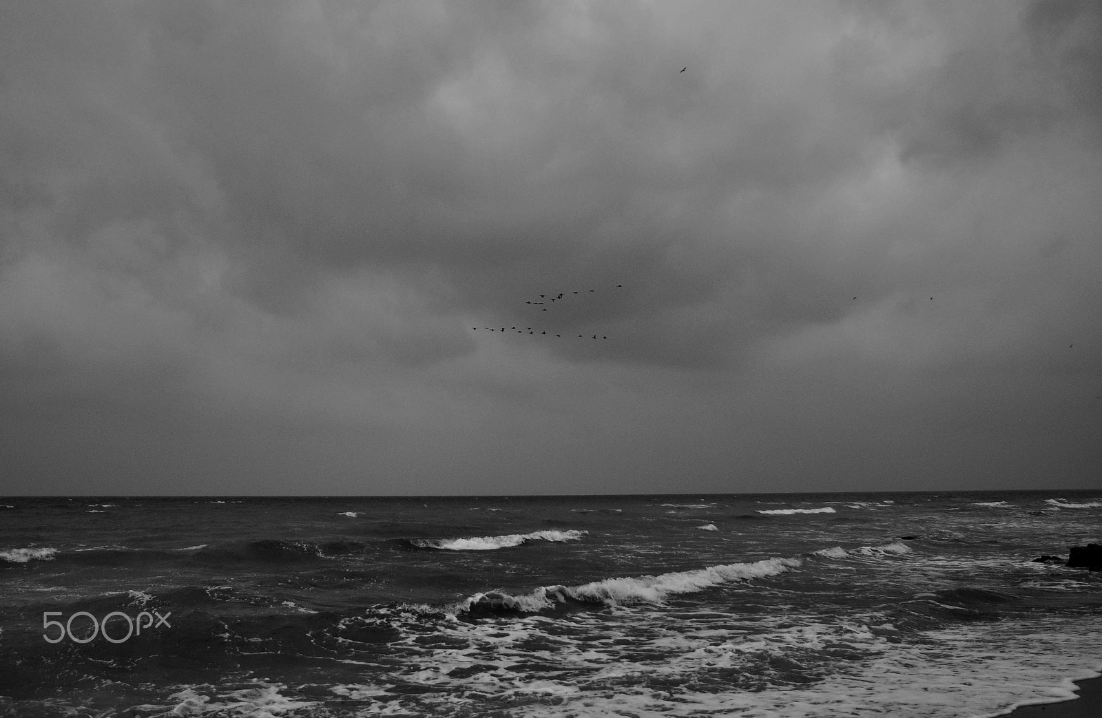 Nikon D90 sample photo. Not for long photography